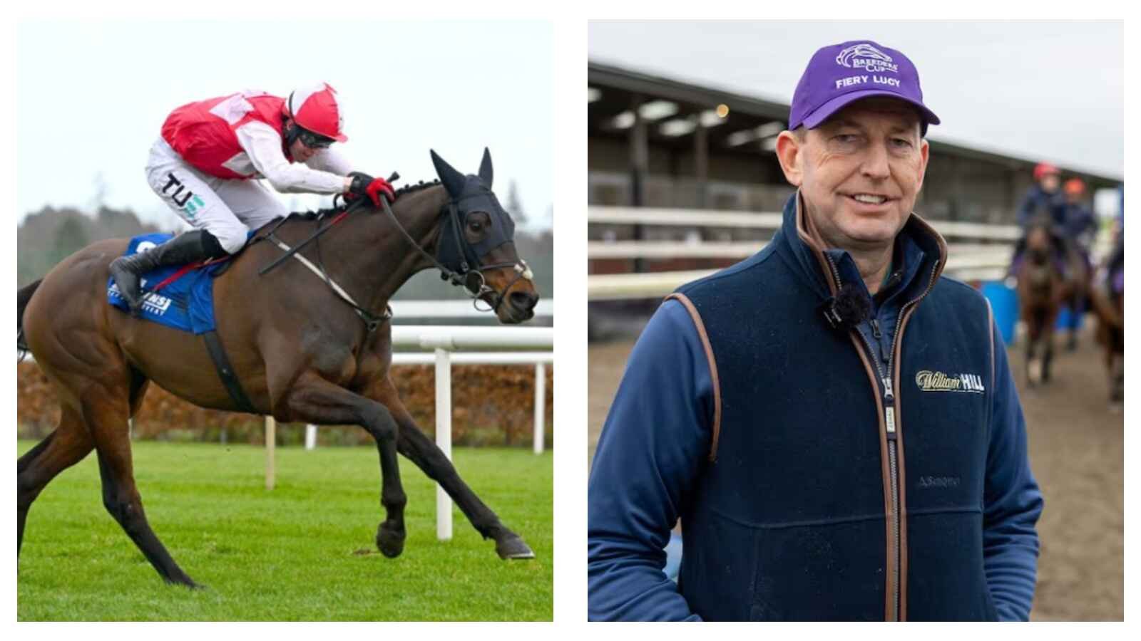 Horse racing news: Ebor the aim for Hello Neighbour – William Hill ambassador Gavin Cromwell