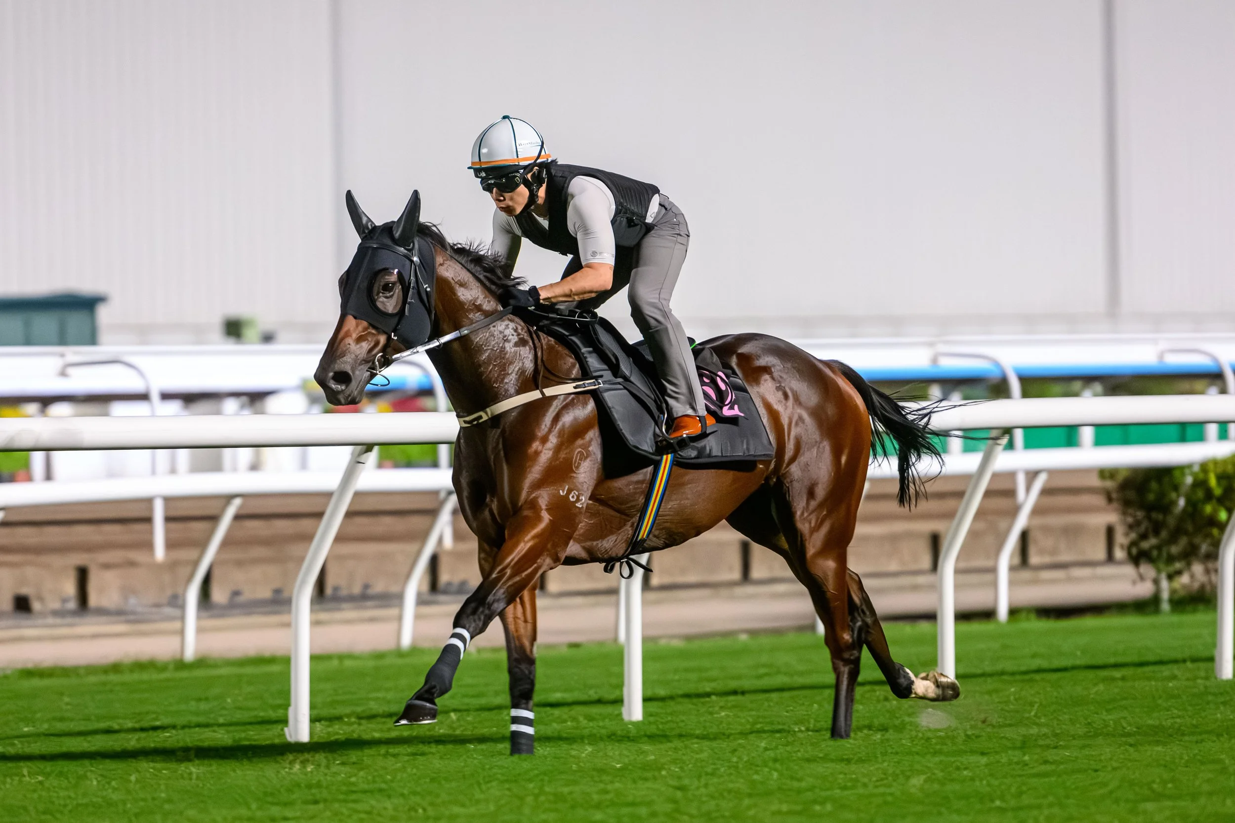 Horse racing news: Hong Kong’s Ka Ying Rising primed for Everest mission after Sha Tin send-off