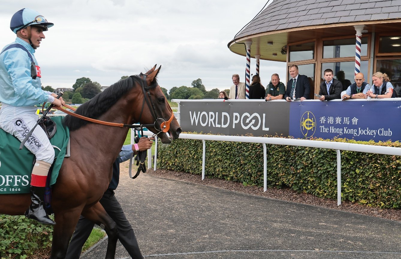 World Pool expands with new races at York and Newmarket