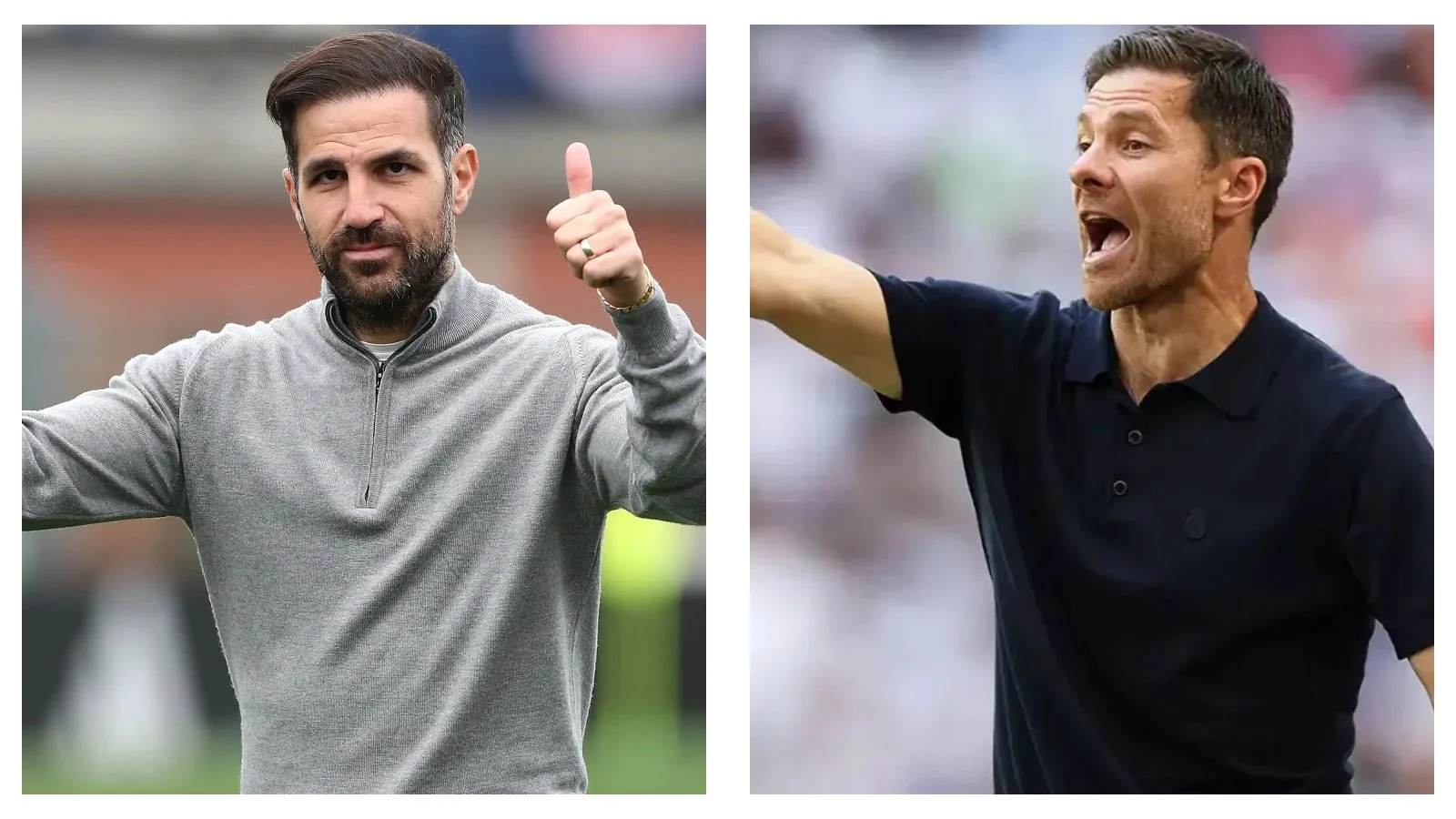 Chelsea manager search: Leading managers to take over the job next season