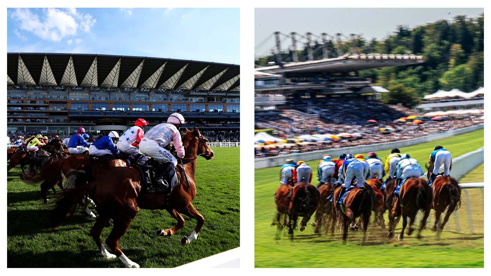 ITV horse racing tips and best bets for Ascot, Haydock and Newmarket on Saturday, August 8