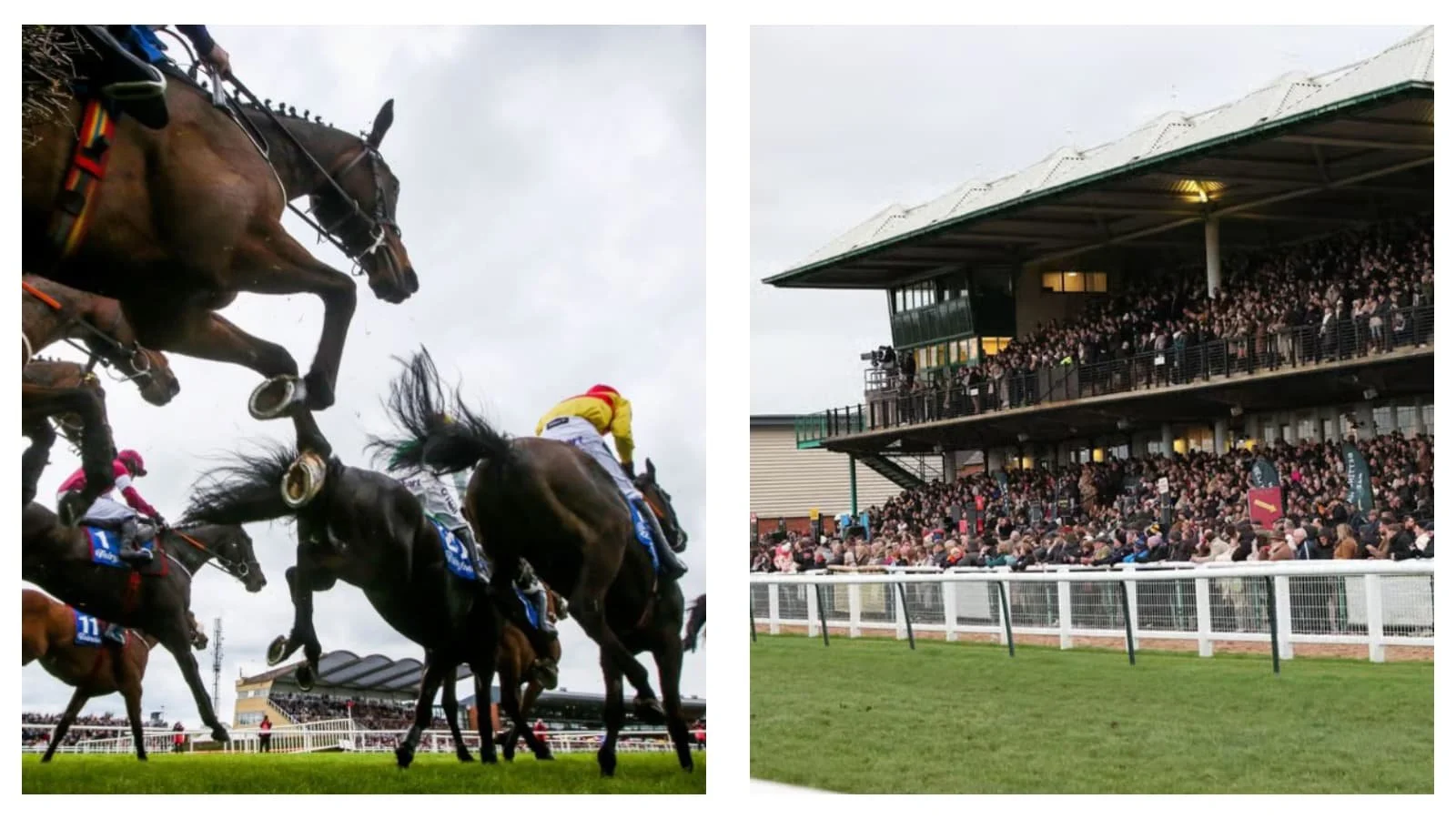ITV horse racing tips and best bets for Warwick, Kempton and Fairyhouse on Saturday, January 10