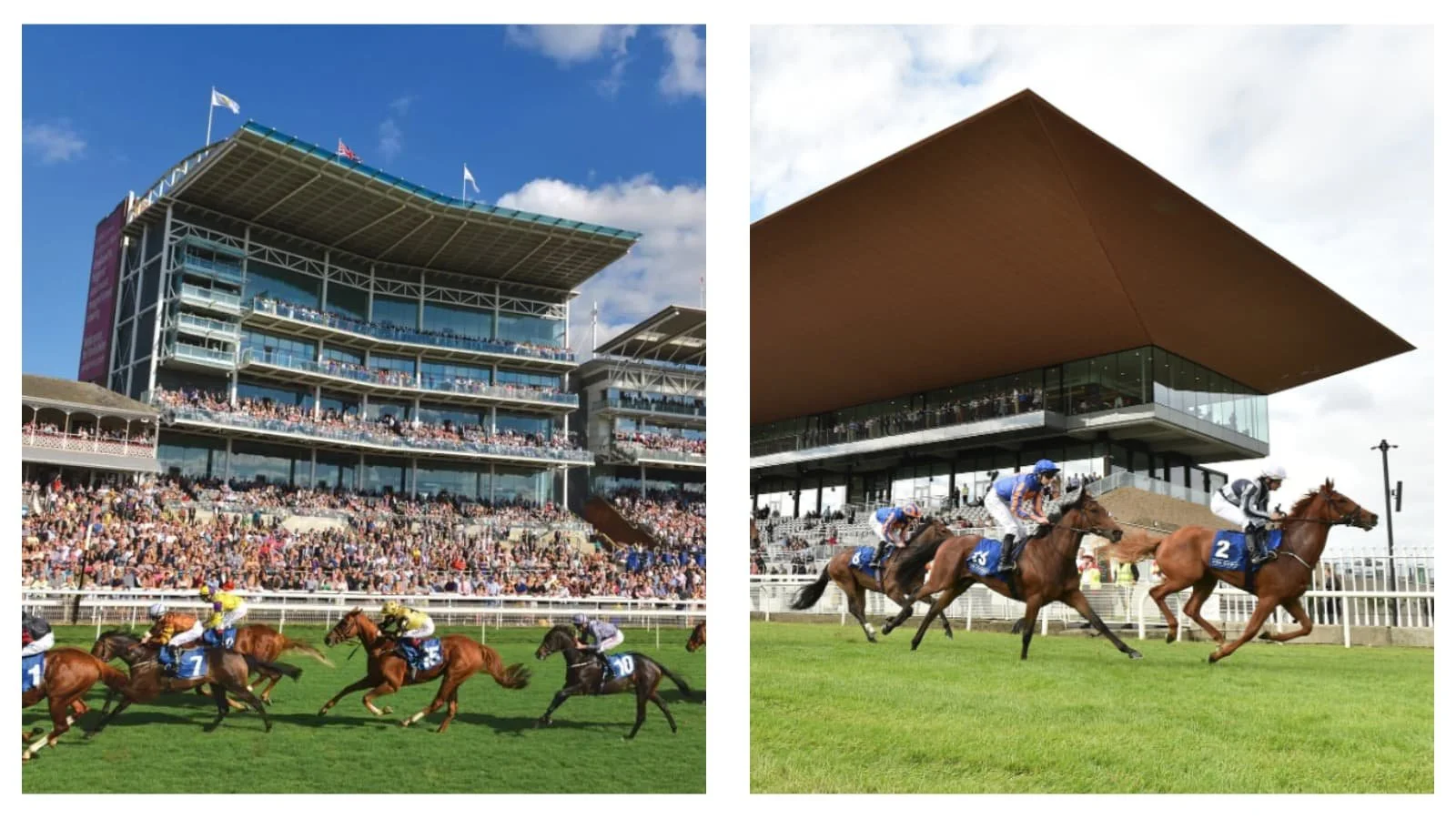 ITV horse racing tips and best bets for Haydock, Goodwood, York and the Curragh on Saturday, May 23