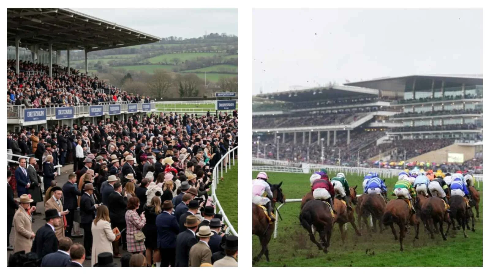 Cheltenham Festival 2026: The challenge, UK vs Ireland
