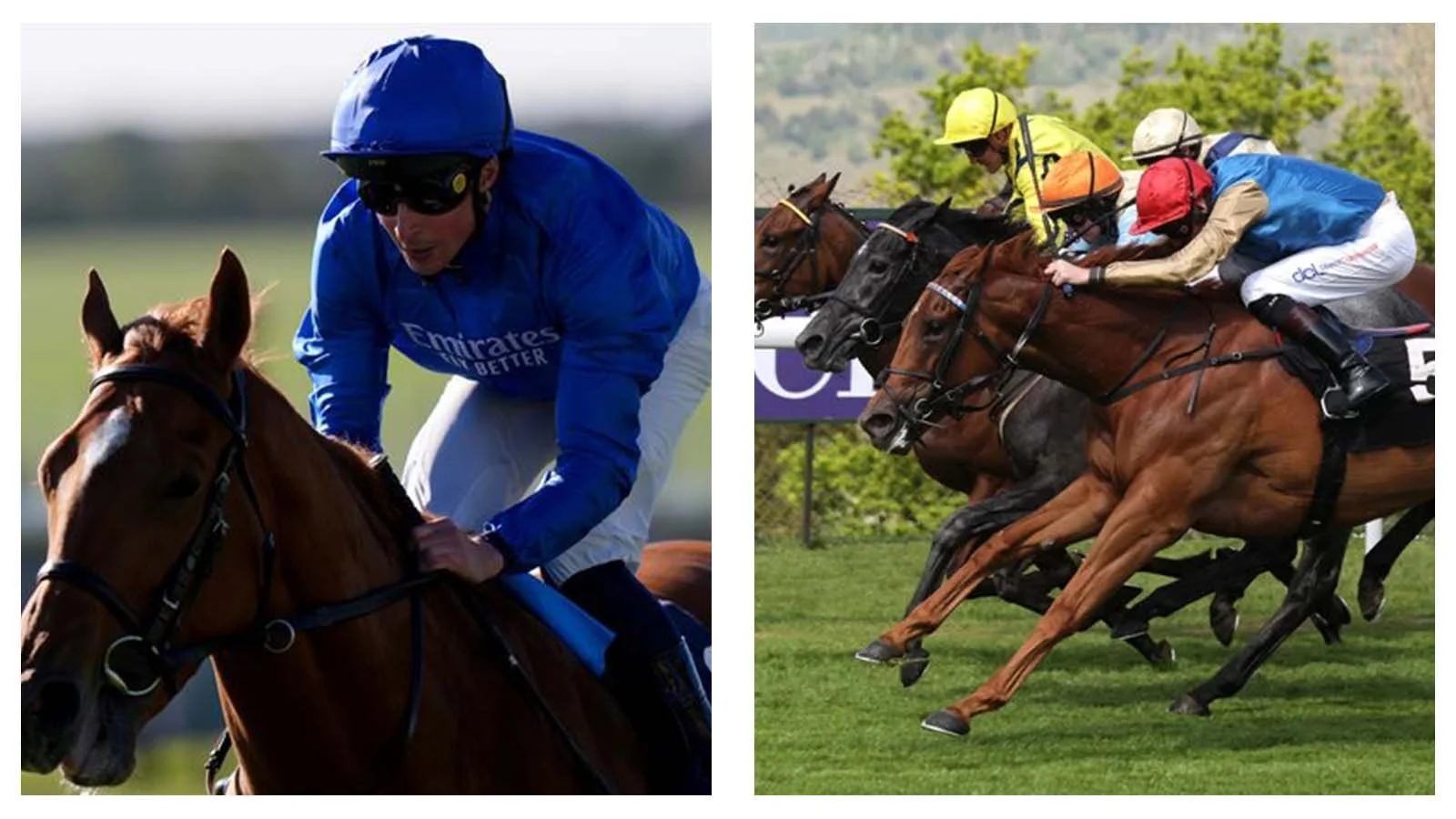 ITV horse racing tips and best bets for Newmarket, Goodwood and Thirsk on Saturday, May 2