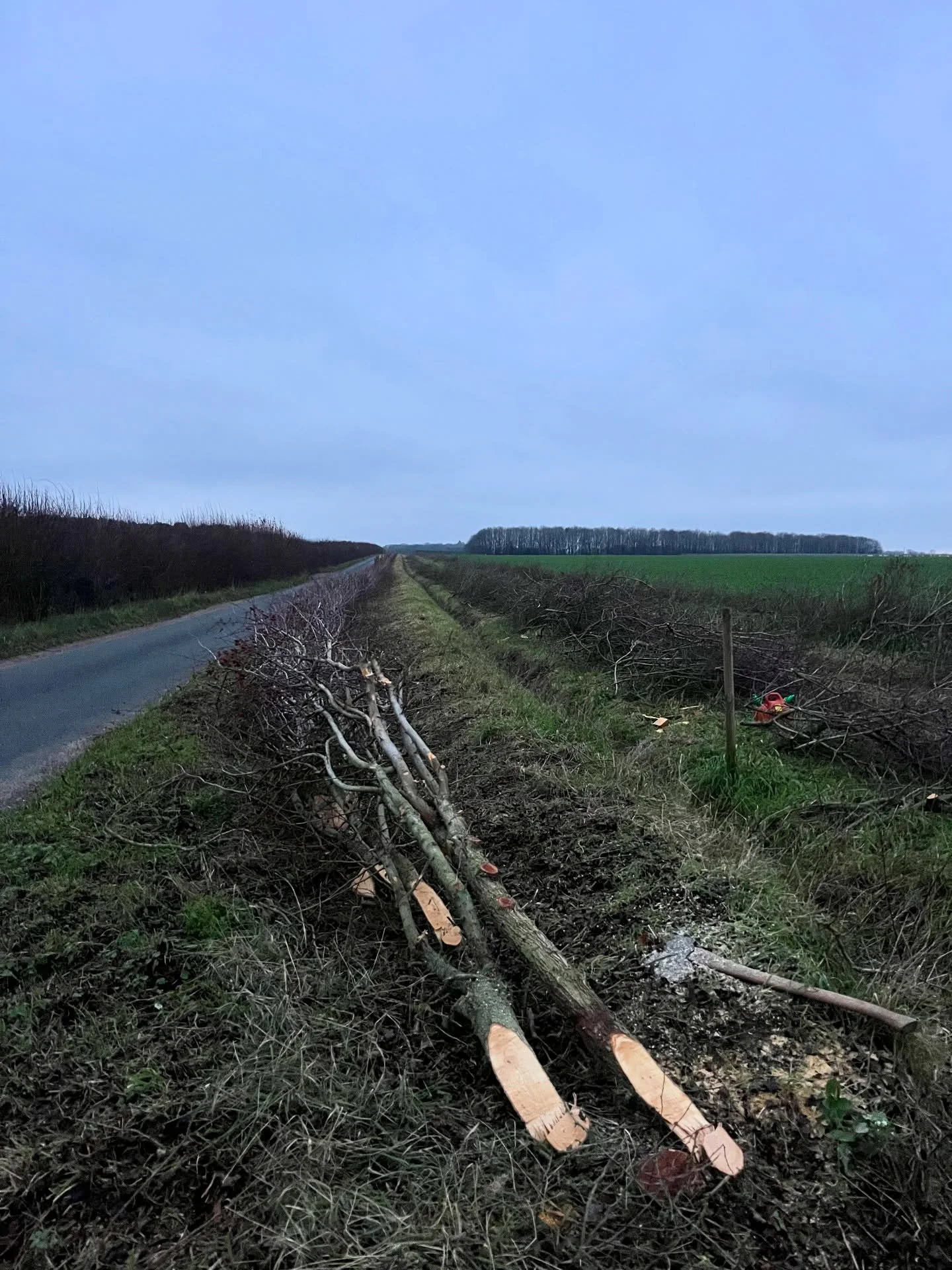 112m laid in 2 days! Big team effort with @hall_farm_knettishall 💪 

Just the last of the staking and then binding and trimming to do on this first 450m or so section.

As you can see from the darkness of the photo it was a bit of a late finish!

#s