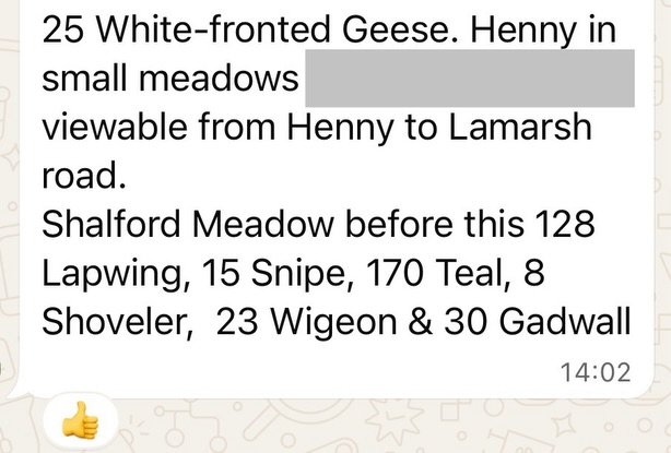 Is this a post to encourage other farmers and landowners to get to know their local naturalists and wildlife groups if they don&rsquo;t already, or a strange flex to show off how many Lapwing have been on Shalford Meadow in the last few days? I&rsquo