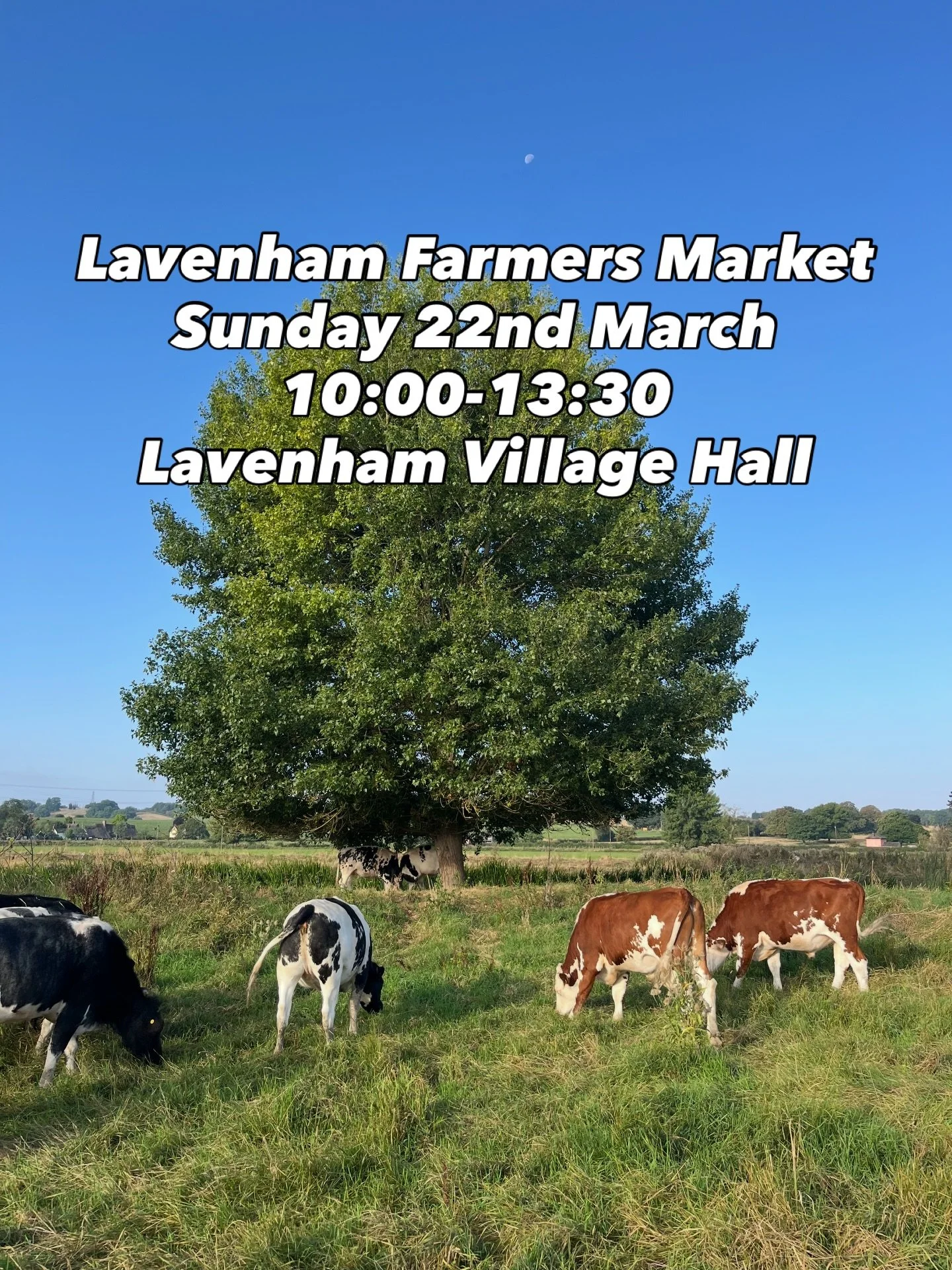 Be there, or be square!

Bovine delights and @hawkins_forestry_suffolk charcoal awaits.

@suffolk_market_events