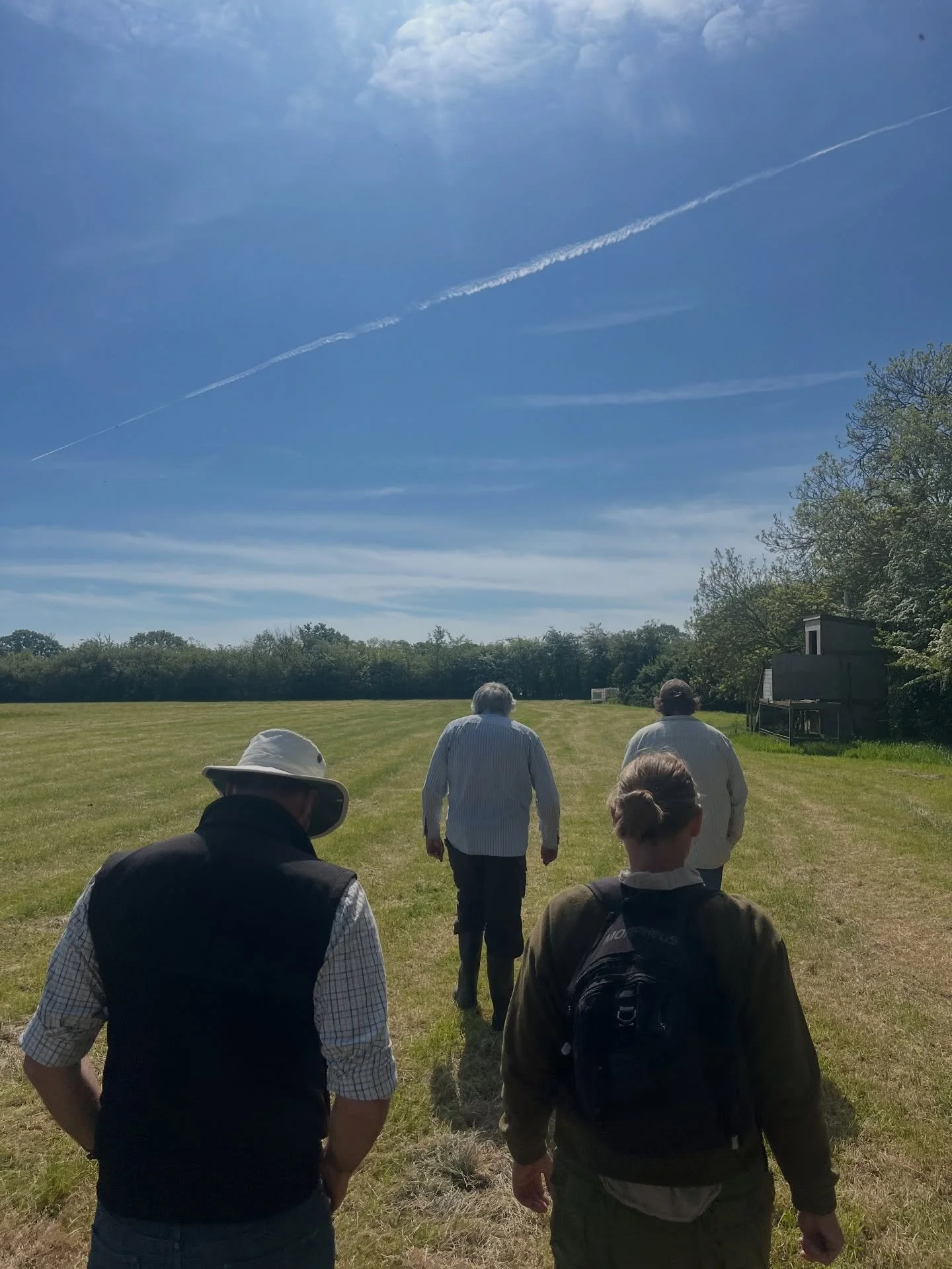 Had a great walk around Hulver Farm with @smallsuffolkfarmer, @suffolkwildlifetrust and the @rspb yesterday, and heard my first turrr-turr&rsquo;ing turtle dove which was a real treat. We talked thatching straw, landrace beans, beautiful well-managed