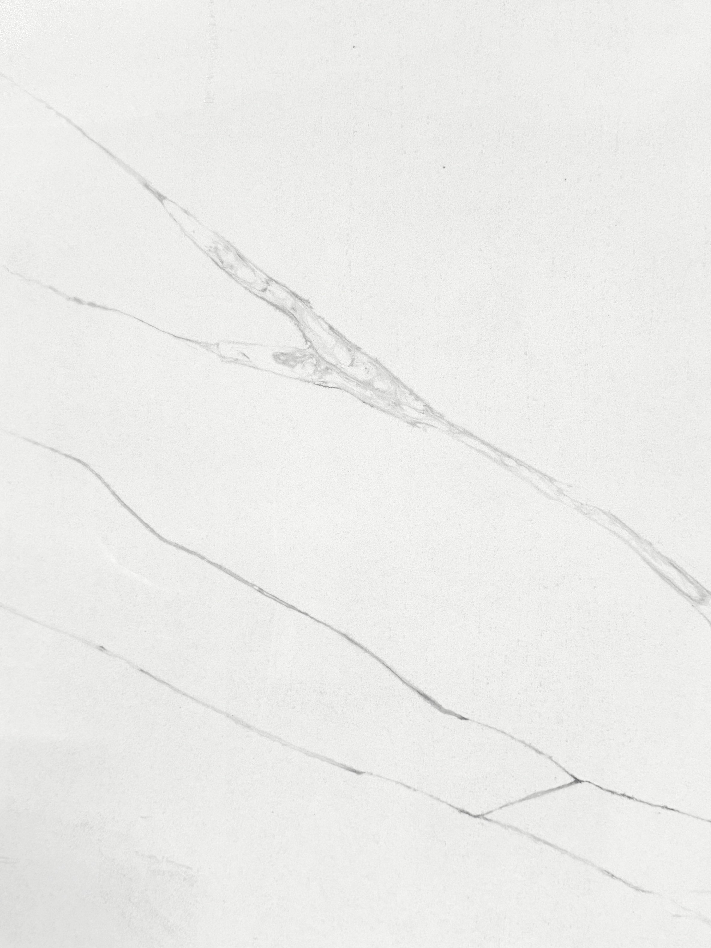 Paloma Closeup Info ColossalQuartz paloma-closeup-info-colossalquartz