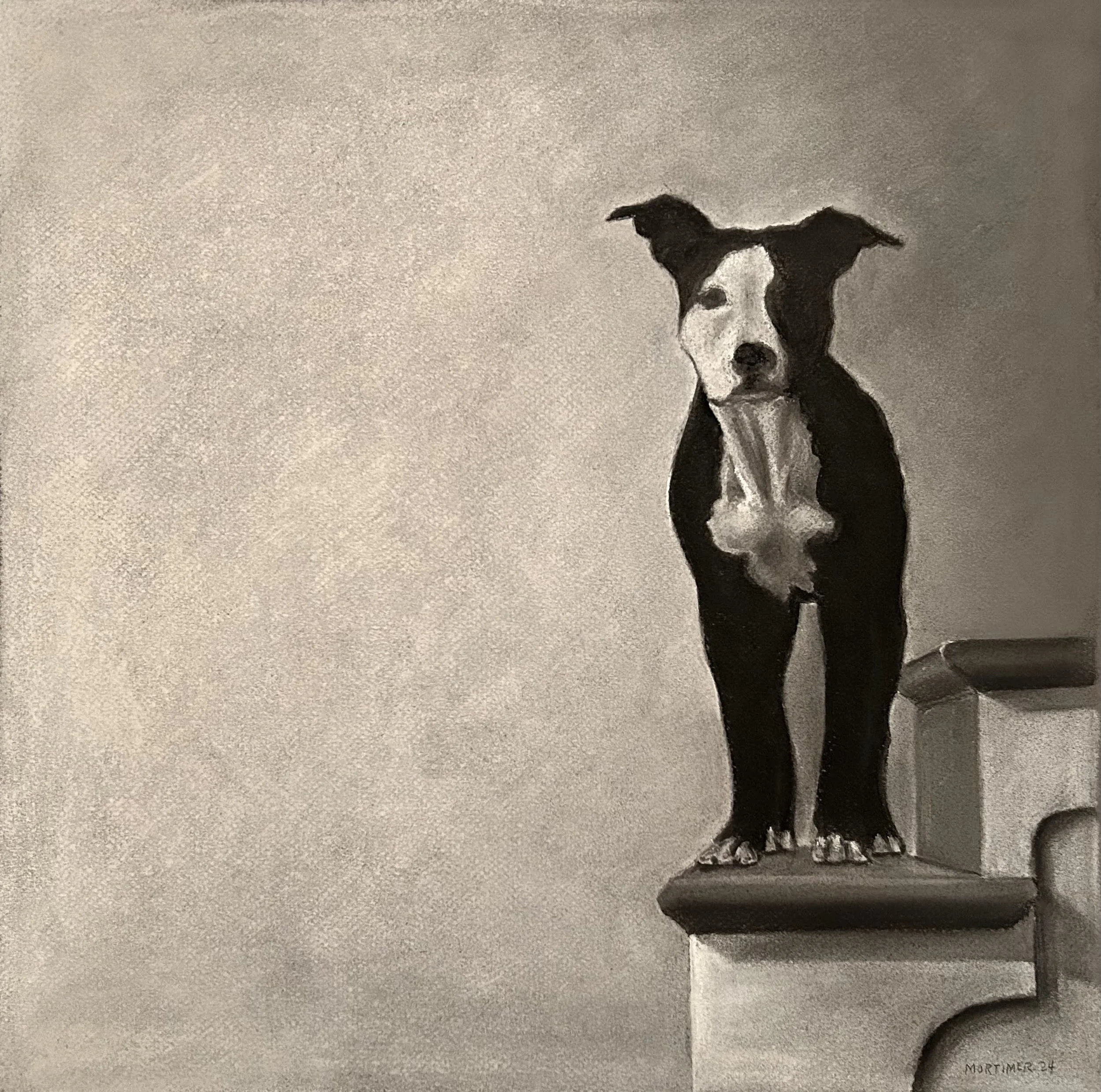 Izzy | 2024 | pastel on paper