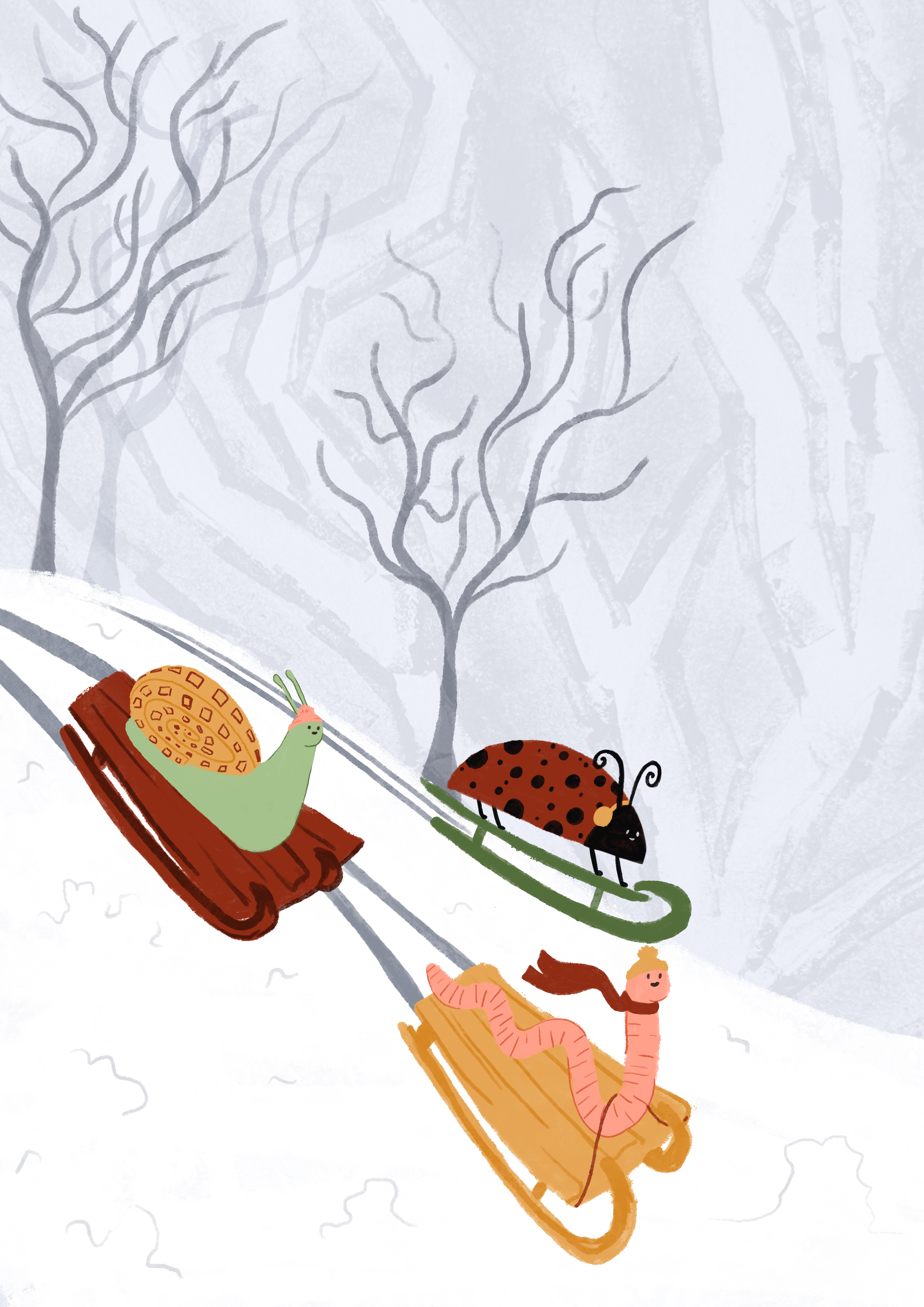 Bug Books