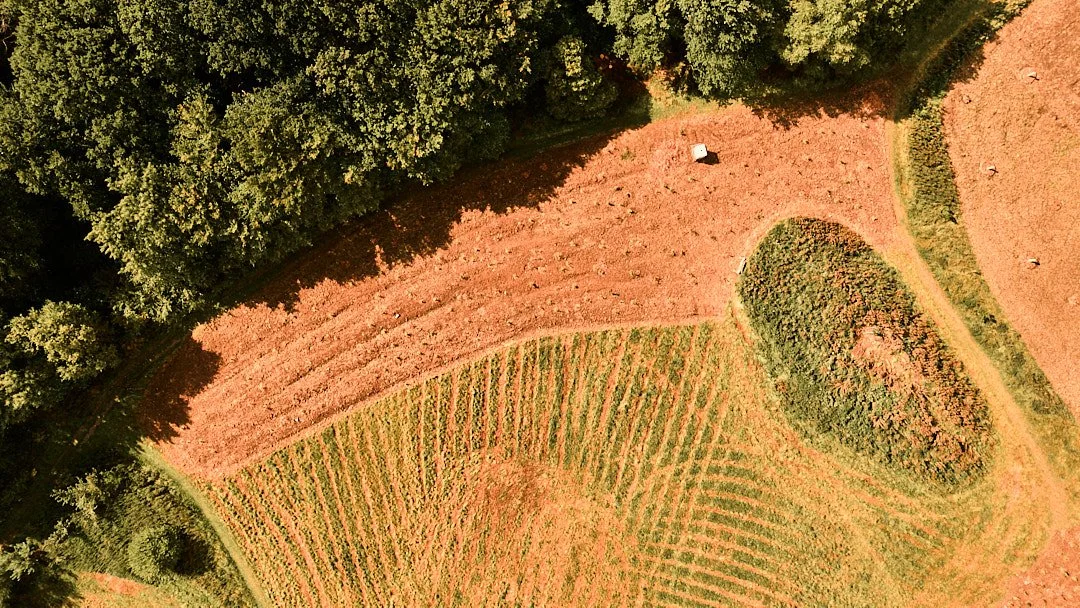 DJI_20260823114454_0014_D.jpg