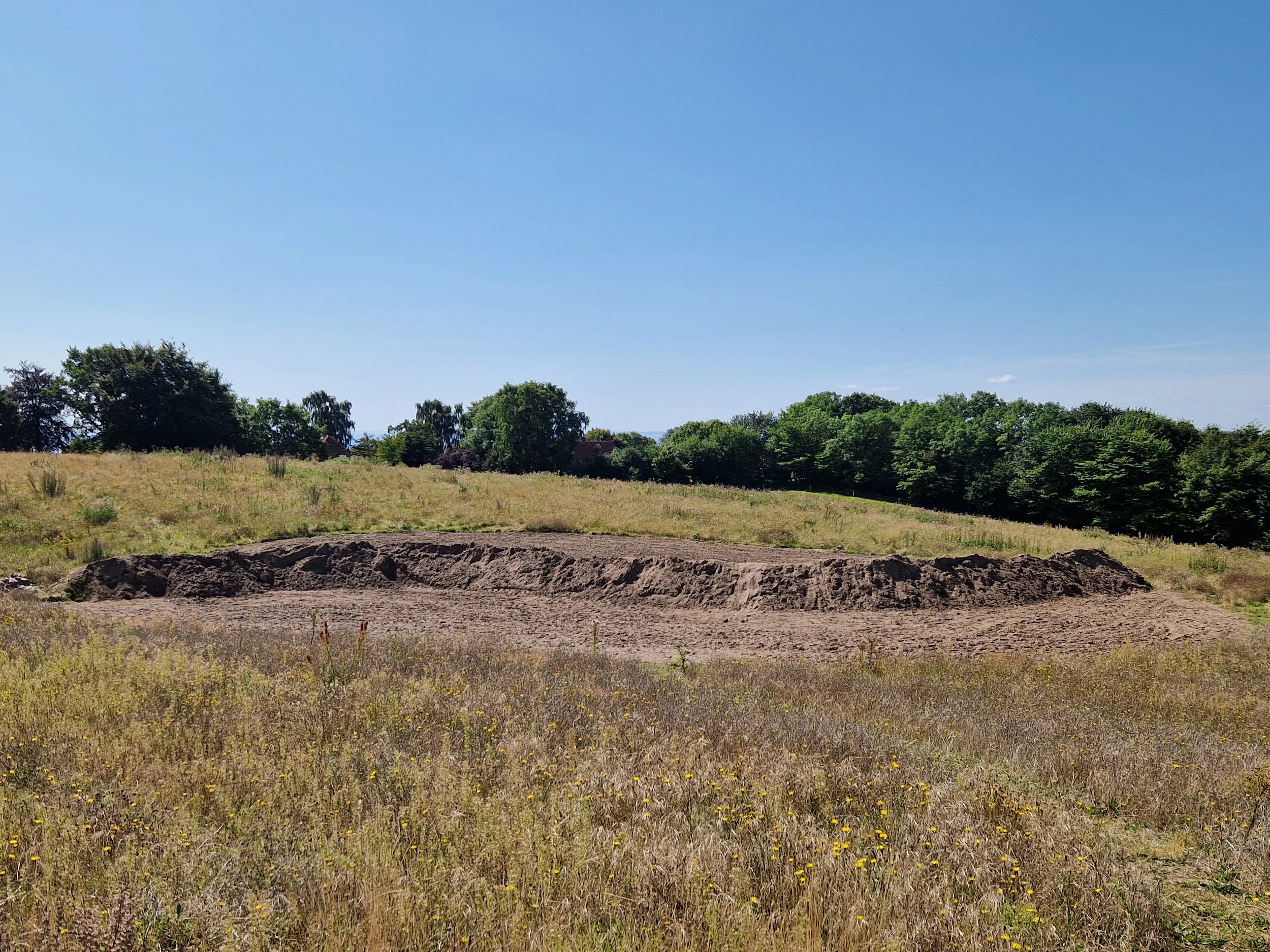 Seed collection & habitat creation.jpg