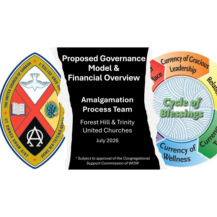 The Proposed New Governance Structure with Financial Overview