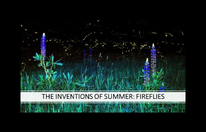 The inventions of Summer - Fireflies