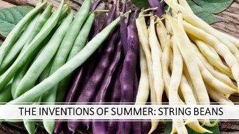 The Inventions of Summer – String Beans