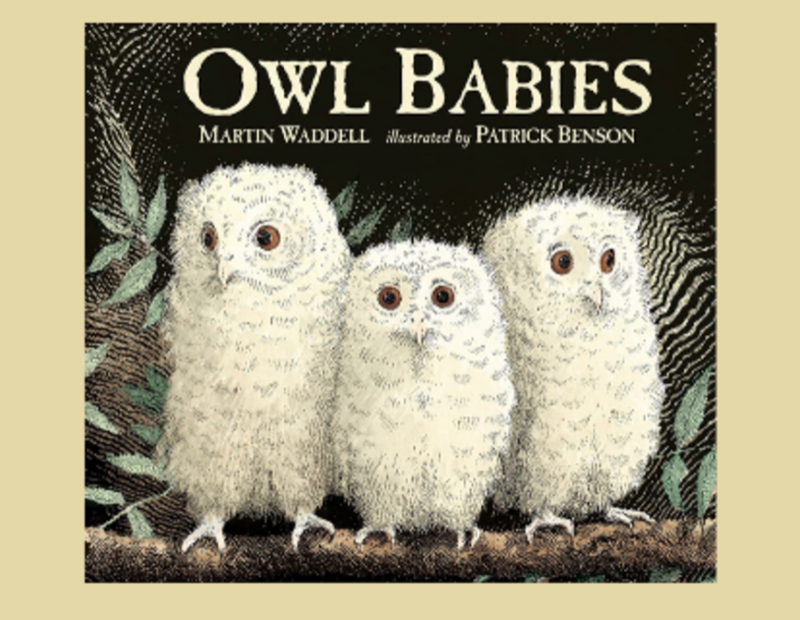 Story and Rhyme Time - Owl Babies