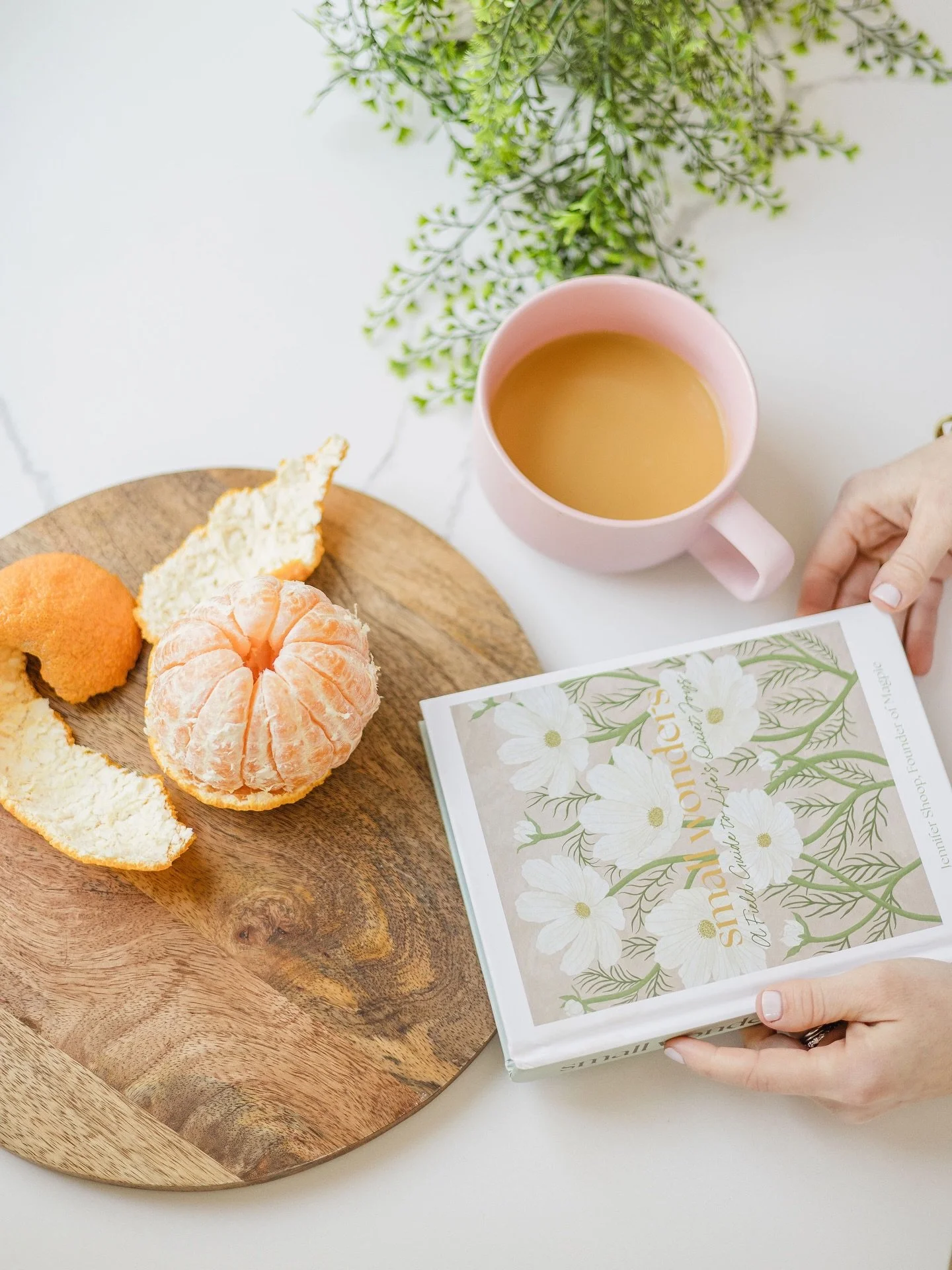 Small wonders. The right light through a window. A perfectly peeled sumo orange. The way someone laughs when they forget a camera is in the room.

Jen Shoop has built her whole world around noticing these moments, and her new book Small Wonders is pr