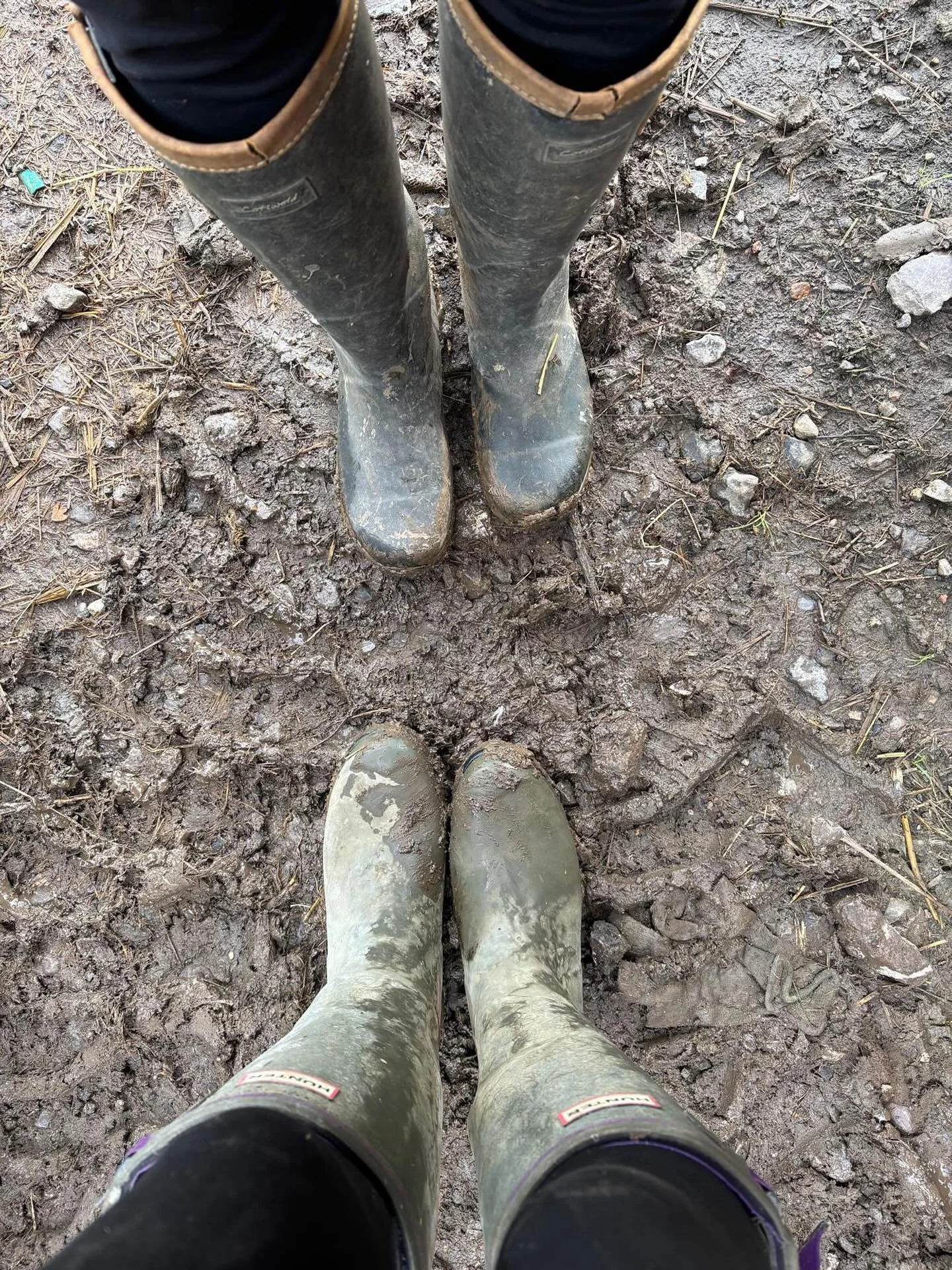 And just like that&hellip;summer is over and the wellies are out again 🫣 #autumnvibes #farmlife #farmlifebestlife