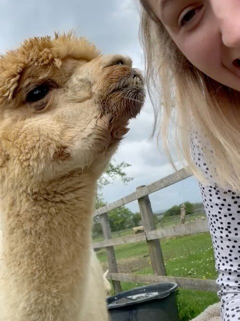 Fur &amp; Fields Farm is a quiet space where rescued and well-loved animals live slow, cared-for lives.  Everything here is built around welfare, safety and respect- for animals and people alike.  This place exists because care is valued 🩶