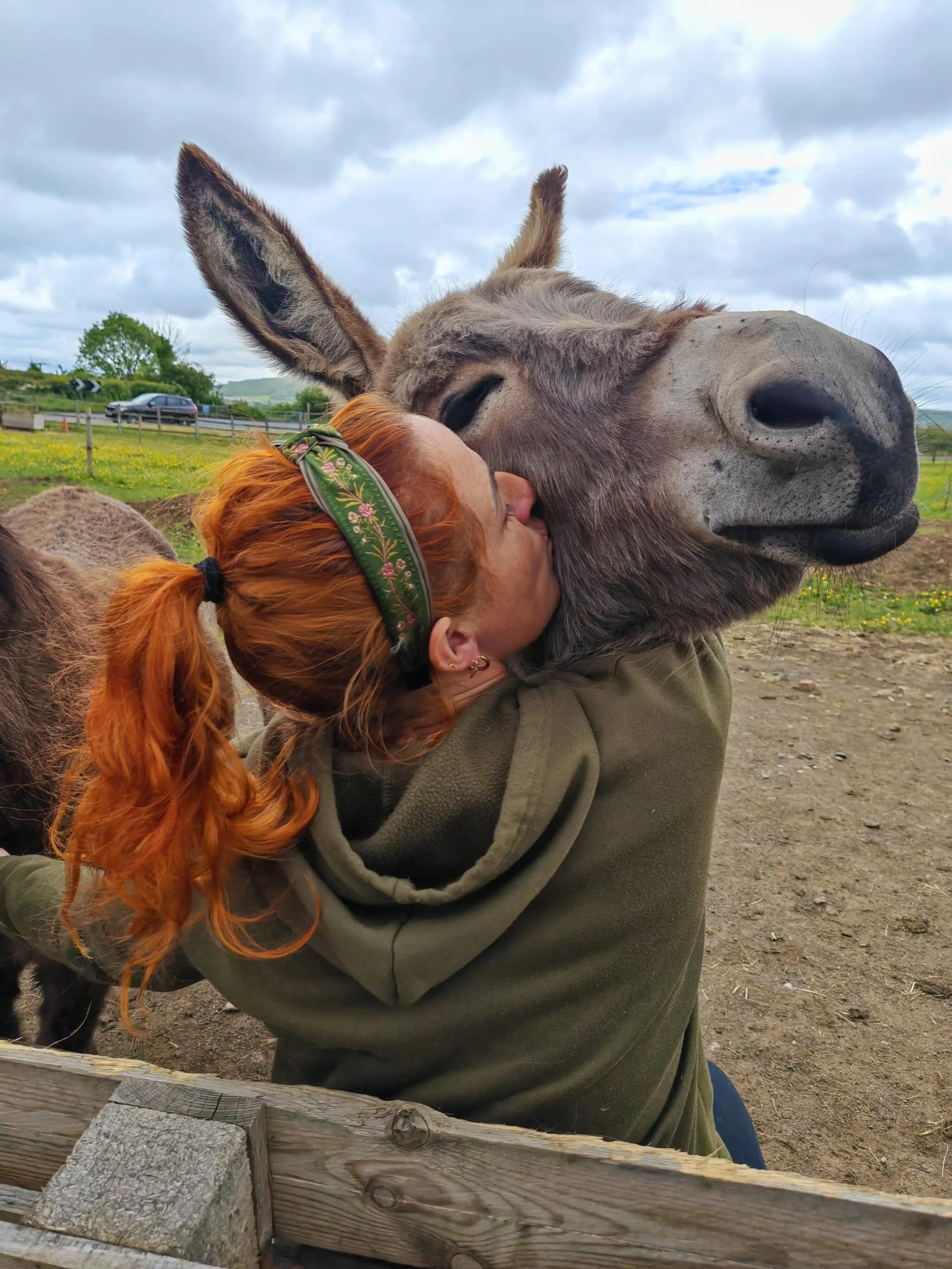 Oh Dolly Donkey&hellip;you were the best surprise baby donkey ever to have existed&hellip;if you know you know 🥰 #donkey #babydonkey #farmlife #carefarm #animlas