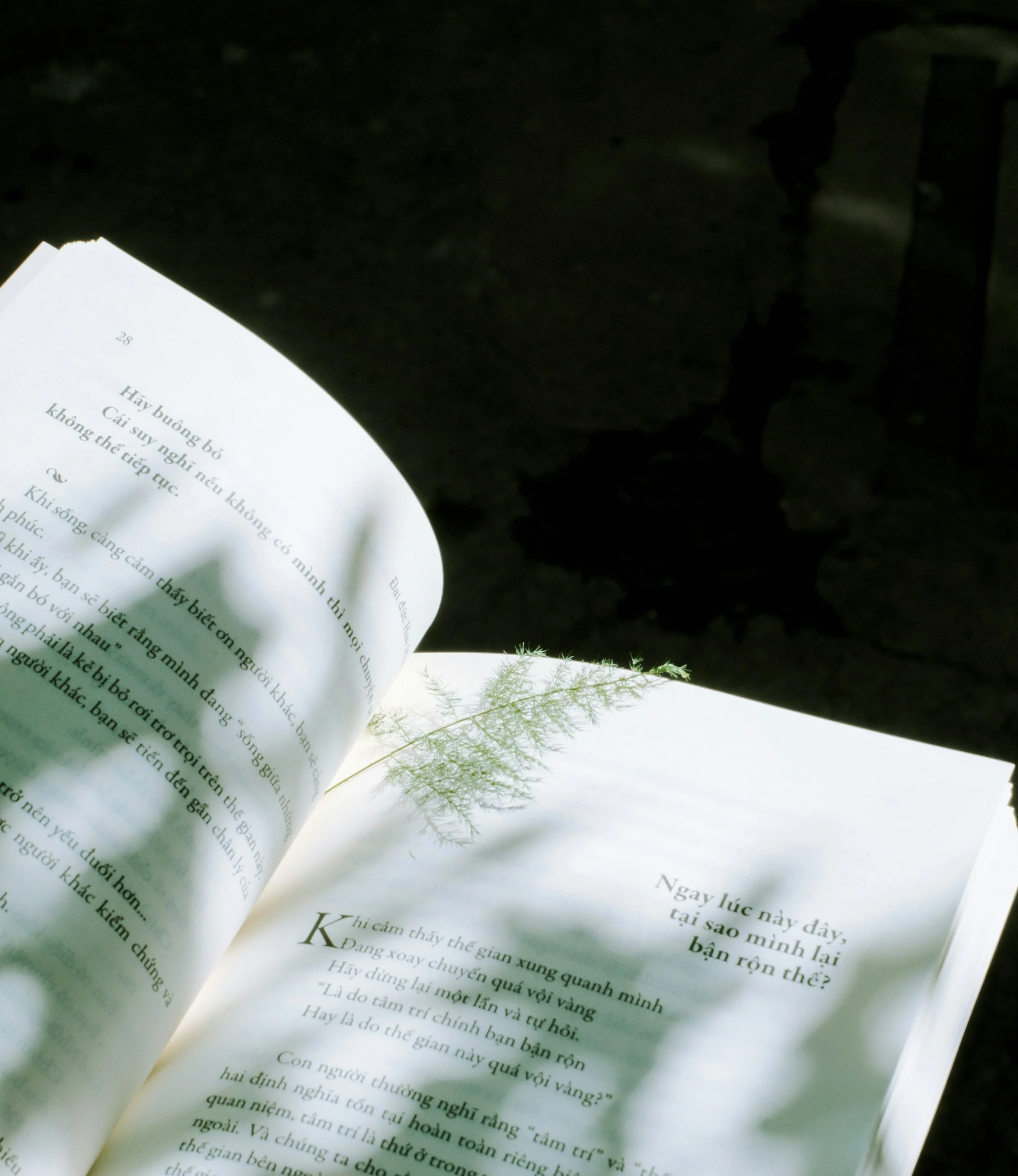 How to Kick Off a Good Story in 3 Easy Steps