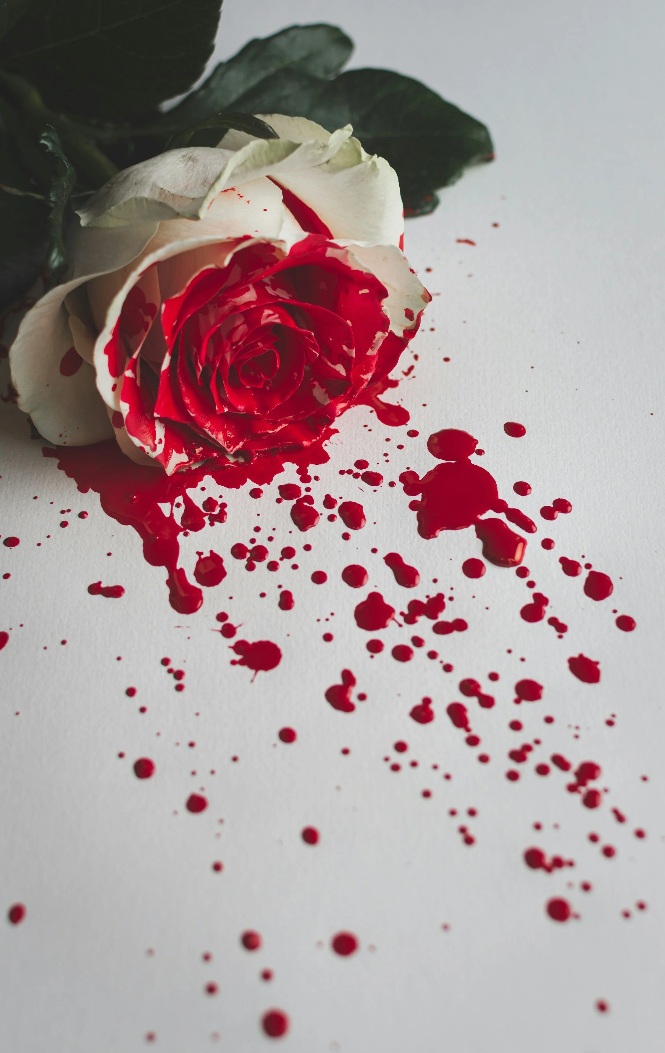 How to Kill Your Darlings (and Why it’s Essential That You Do)