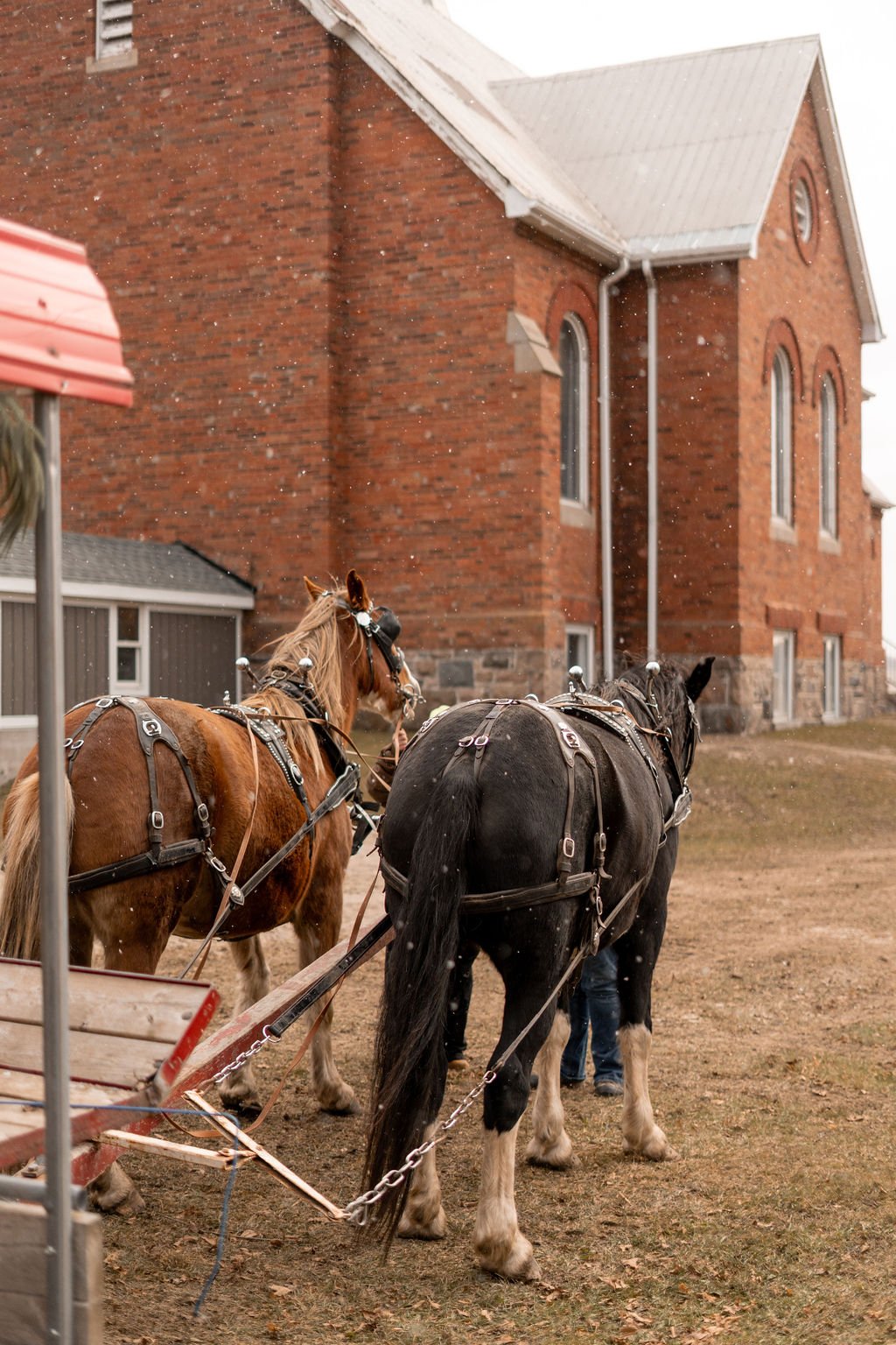 WickChurchHighTea-157 (1).jpg