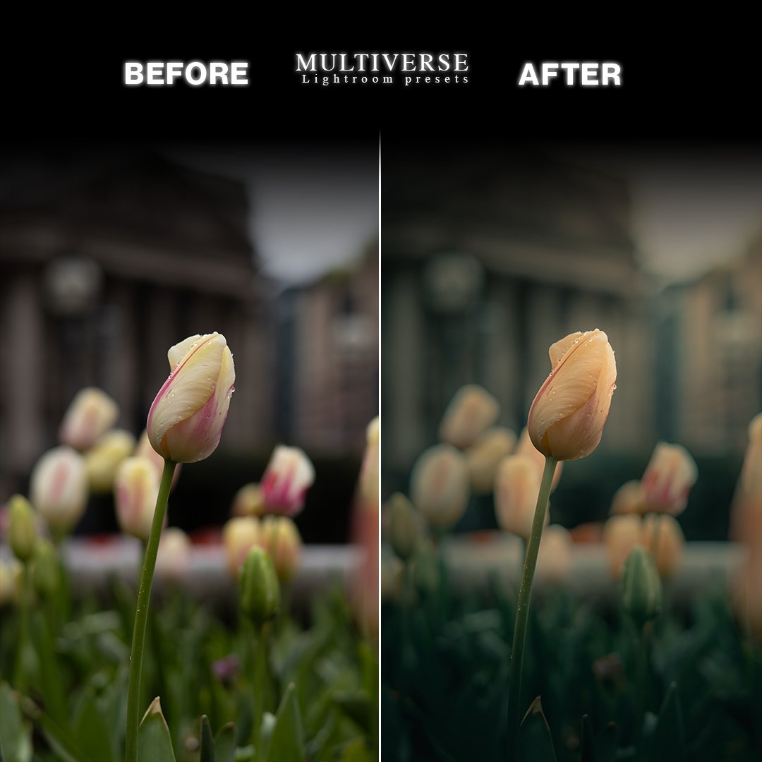 ELYSIUM_SLIDER_11.jpg