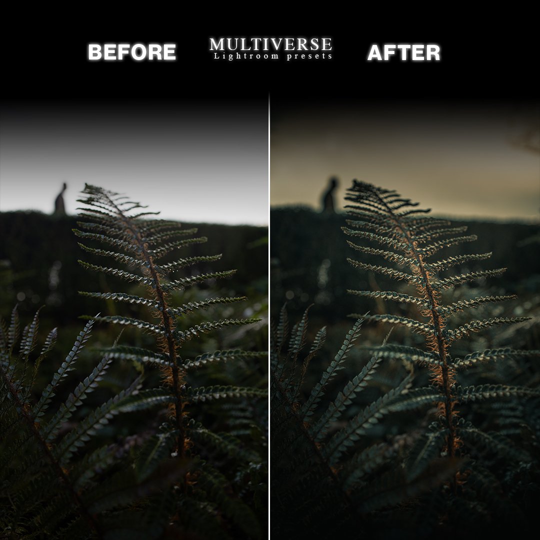 ELYSIUM_SLIDER_13.jpg