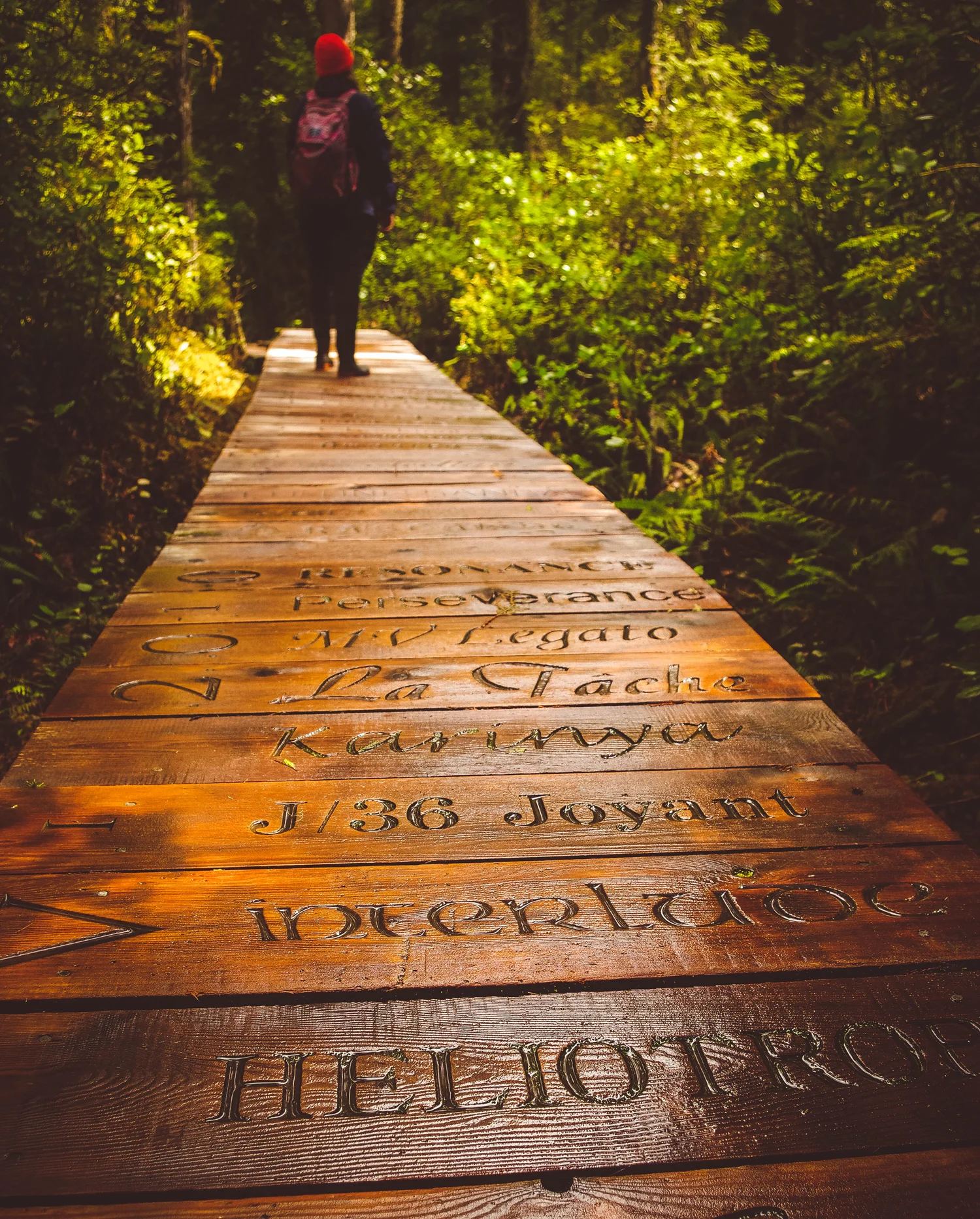 7 boardwalk.jpg