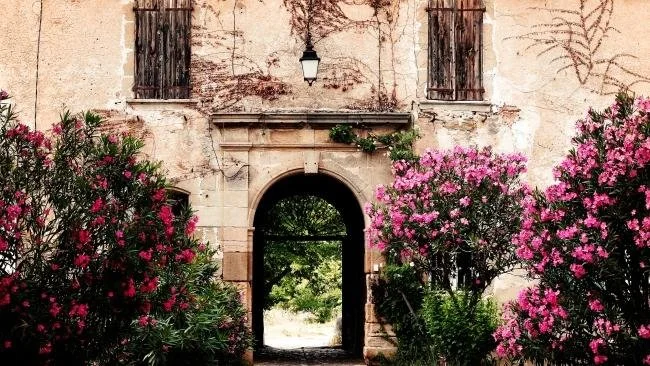 Image of a doorway with flowers in Aix-En-Provence, from an Escape article by Kate Bettes