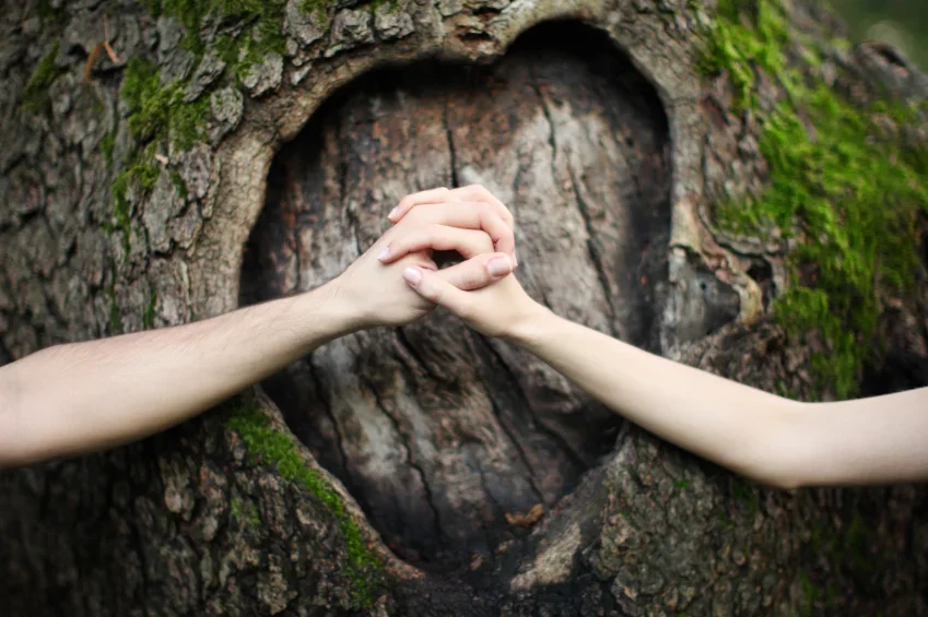 hands together in background a log