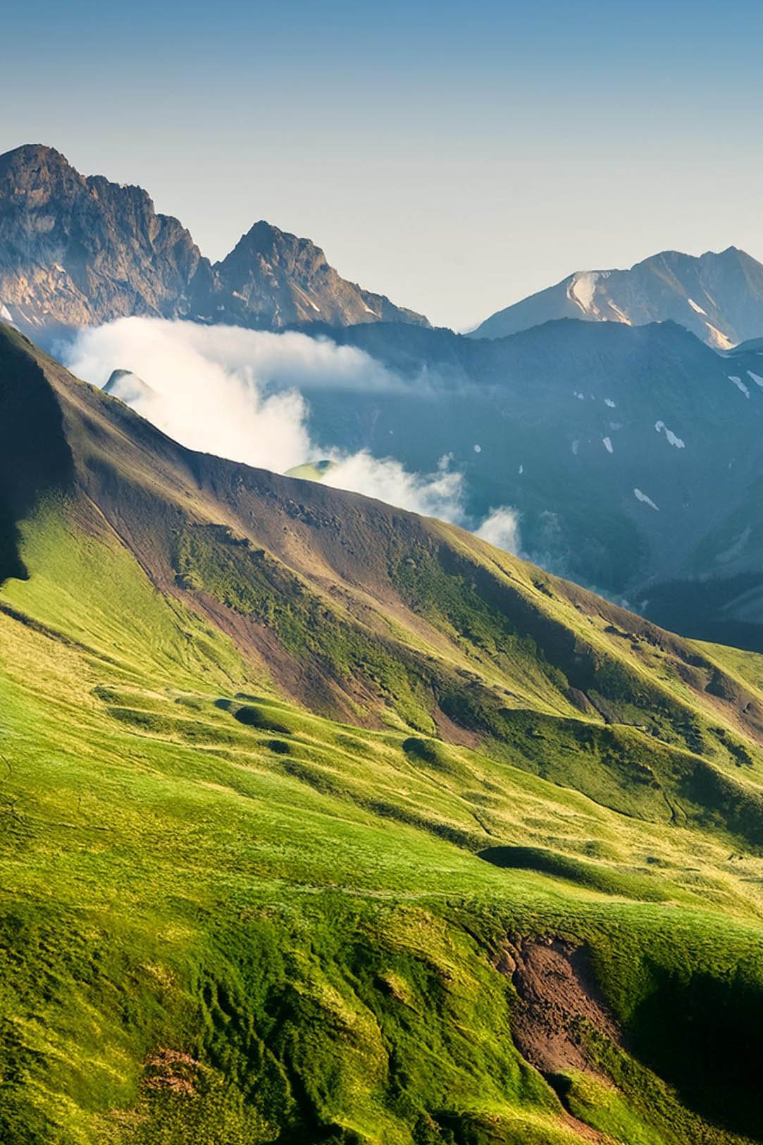 Mountain Mist.jpg