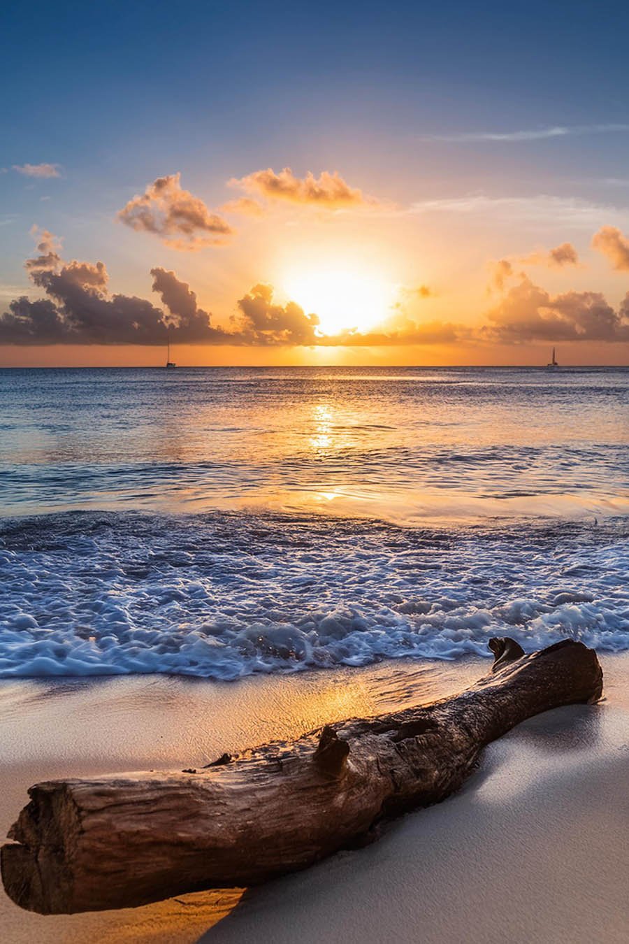 Caribbean Teakwood.jpg