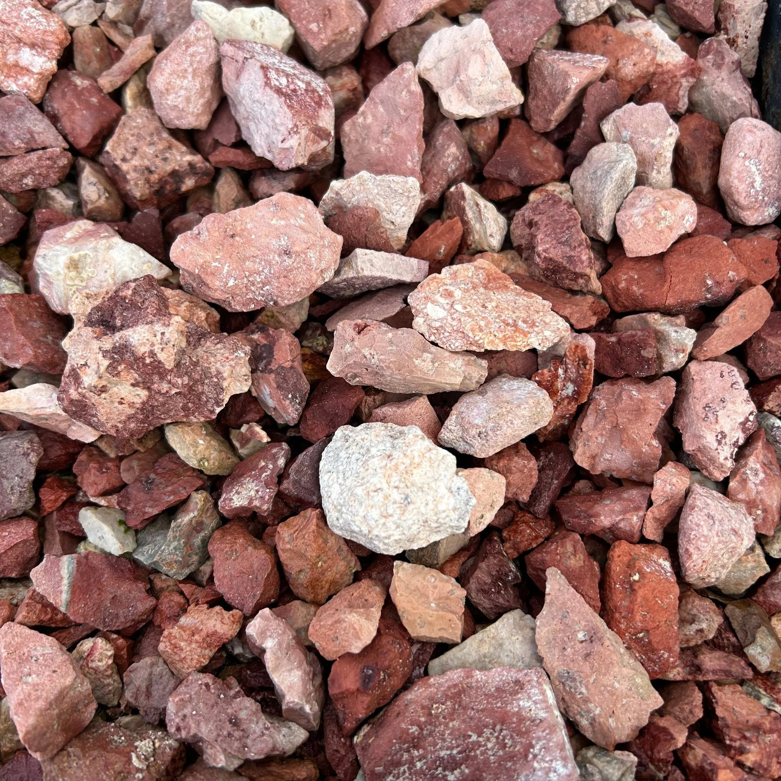 1" Strawberries and Cream