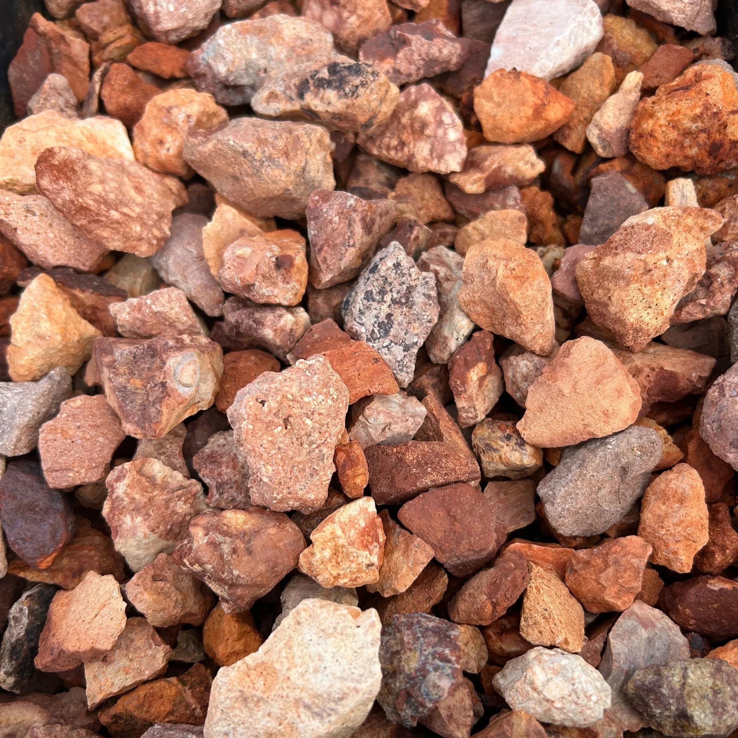 1" Peaches and Cream