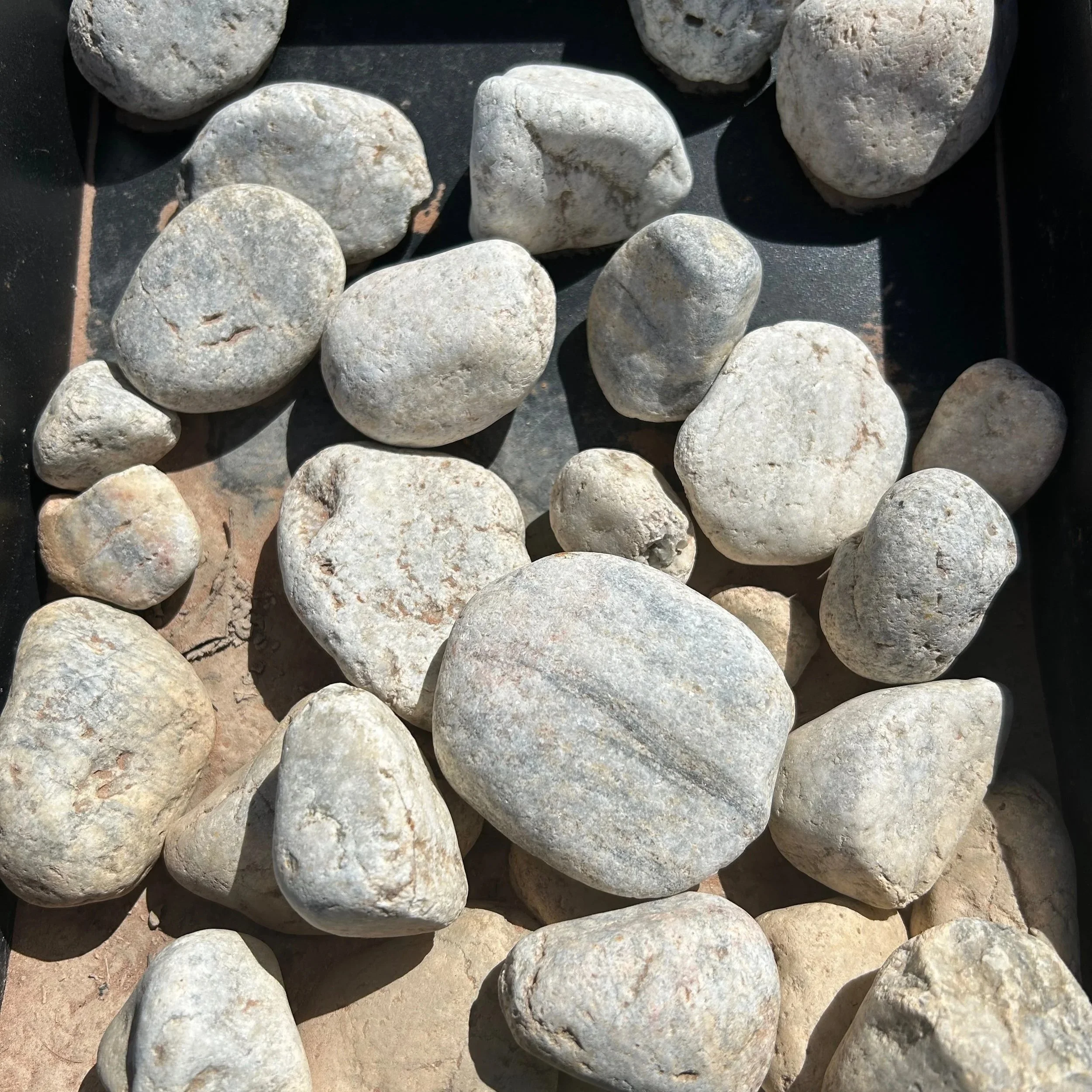 Mexican Beach Pebble White