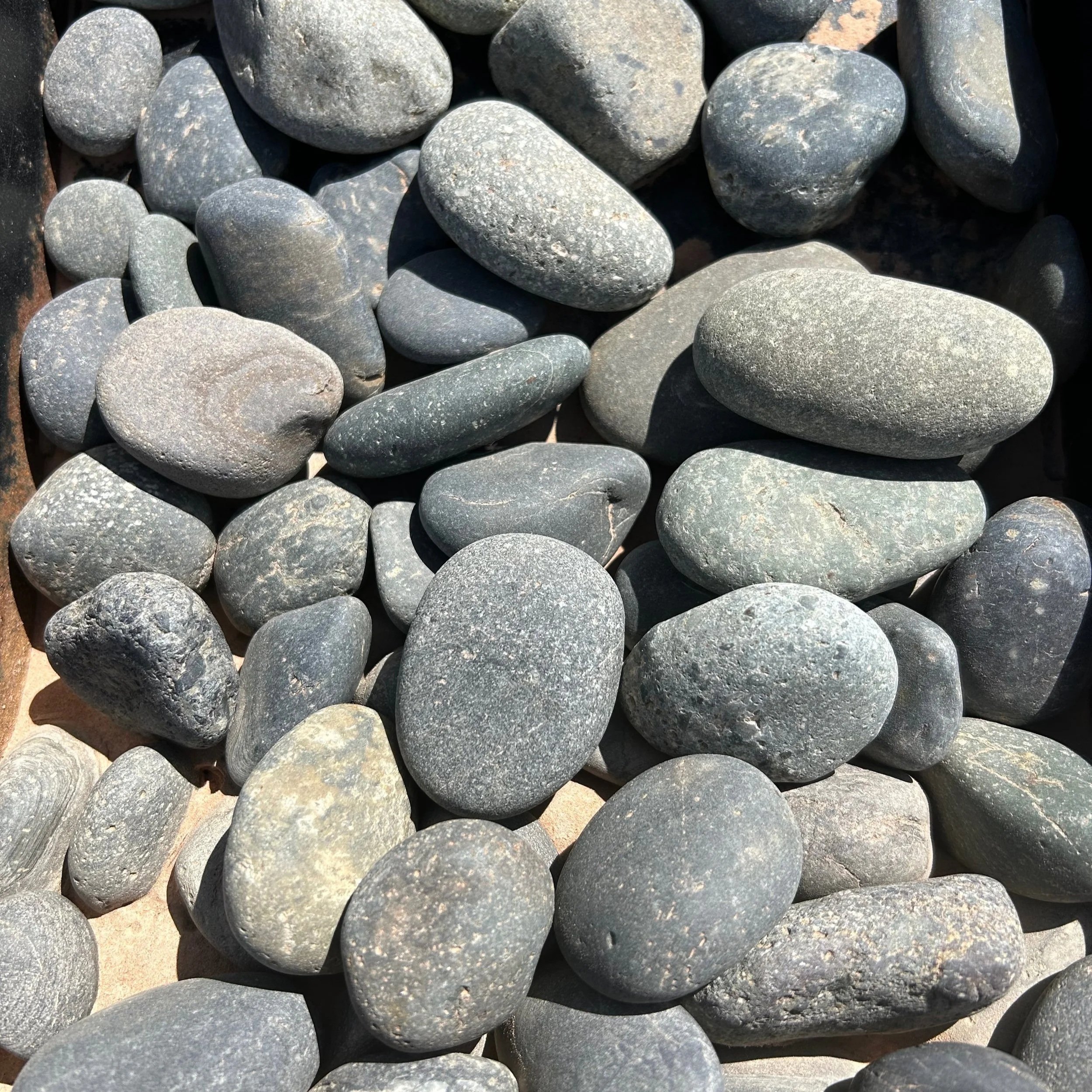 Mexican Beach Pebble Gray