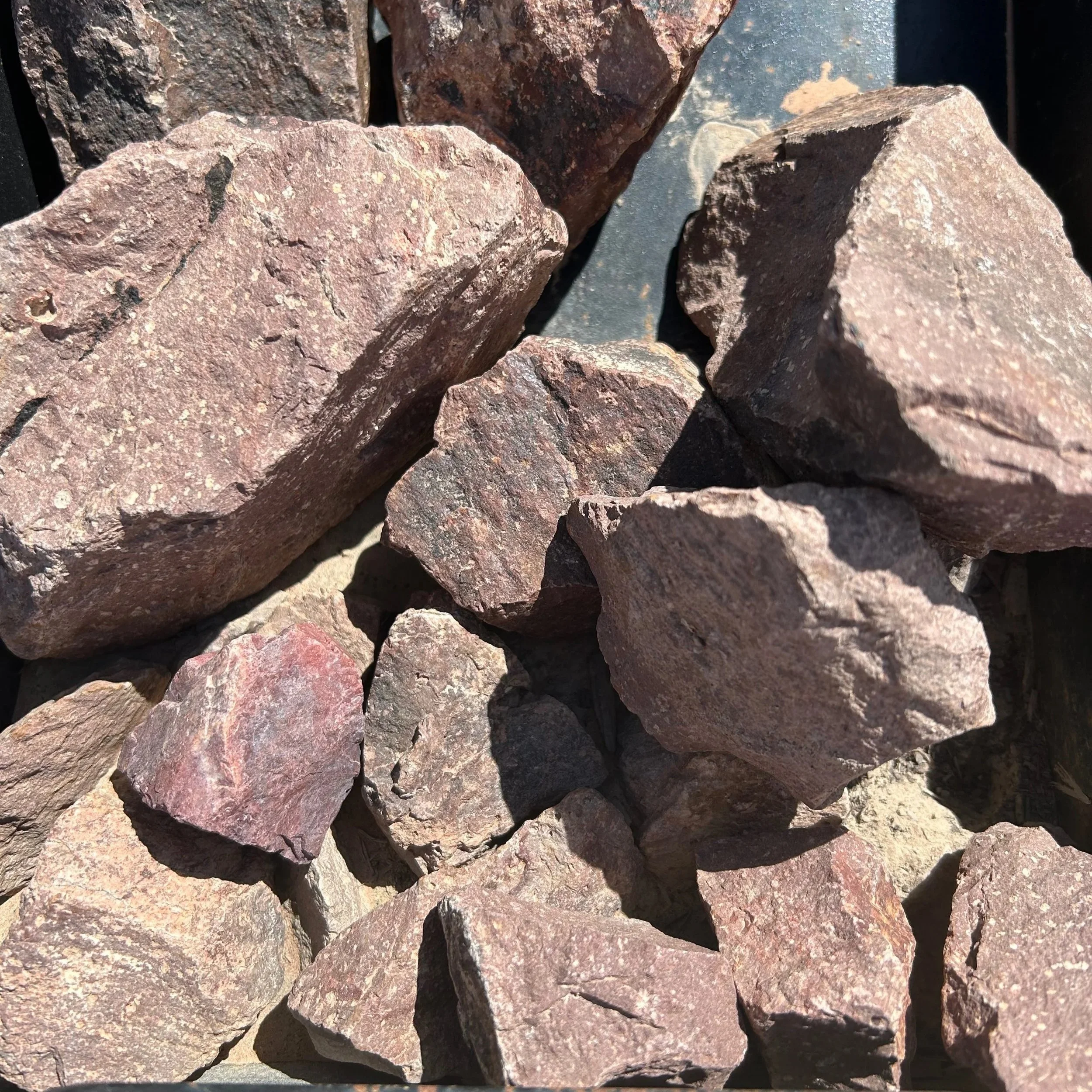 Purple Passion 2"-4"