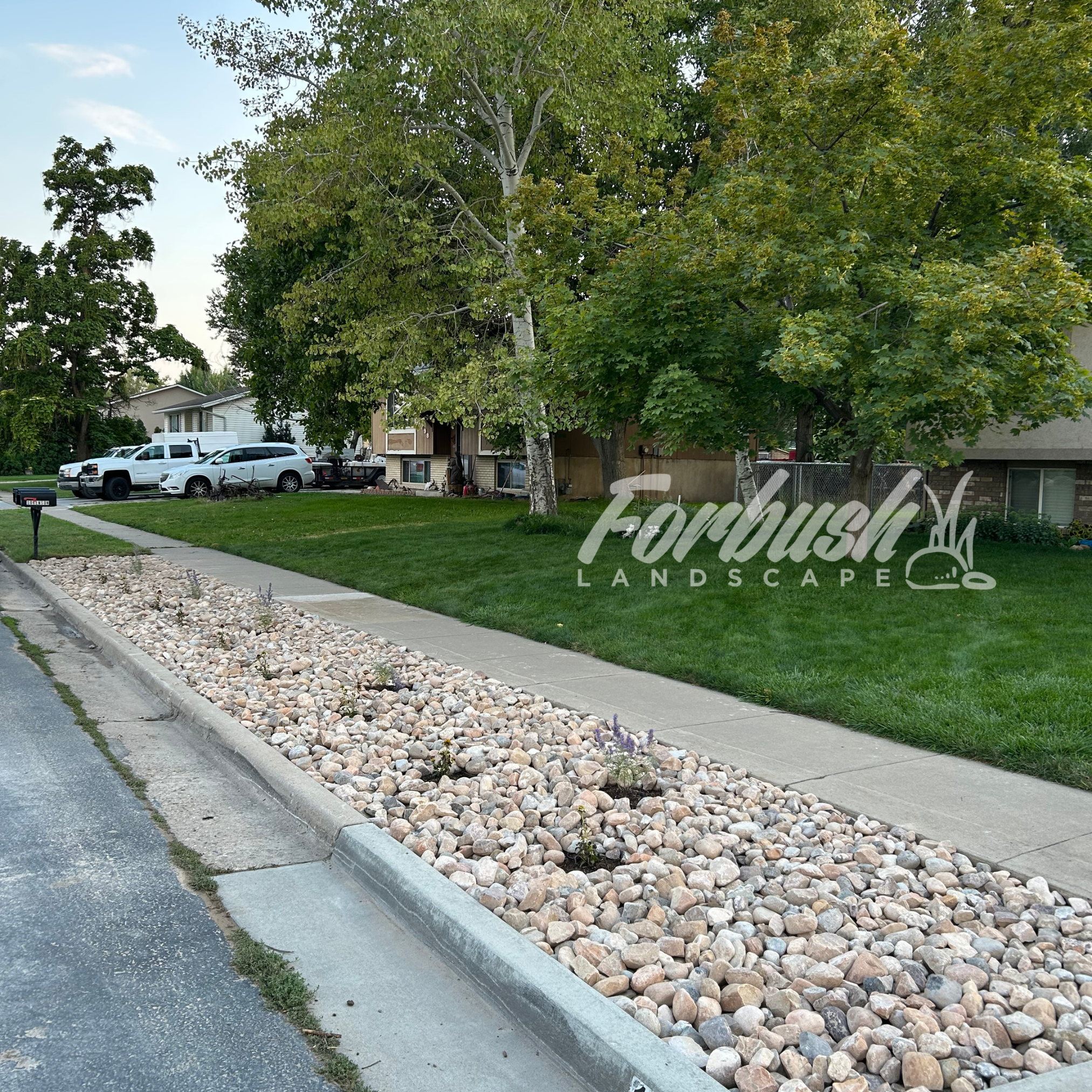 Home in Syracuse, Utah opted for drought resistant plants. 