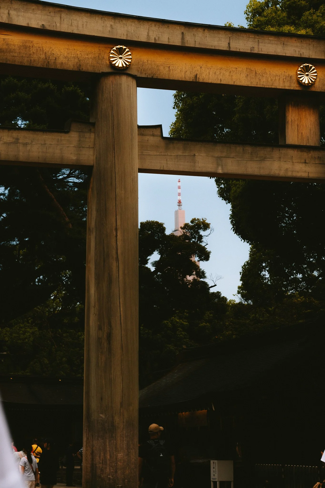 japan-44.jpg