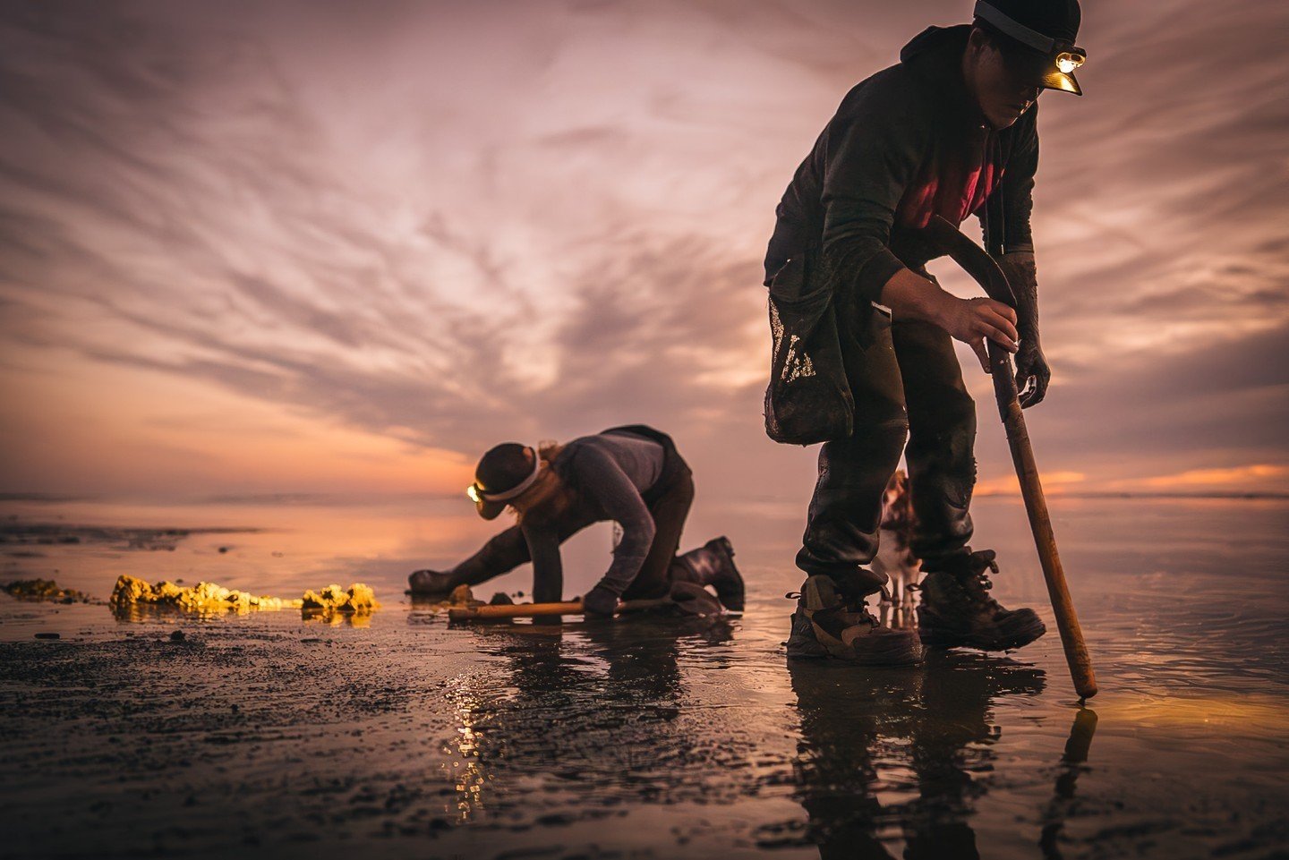 Ready for some clam-tastic news? The WDFW has approved seven more days of razor clam digs! 

Dec 28, Saturday, 4:58 p.m.; 0.0 feet; Copalis
Dec 29, Sunday, 5:36 p.m.; -0.4 feet; Mocrocks
Dec 30, Monday, 6:14 p.m.; -0.7 feet; Mocrocks
Dec 31, Tuesday,