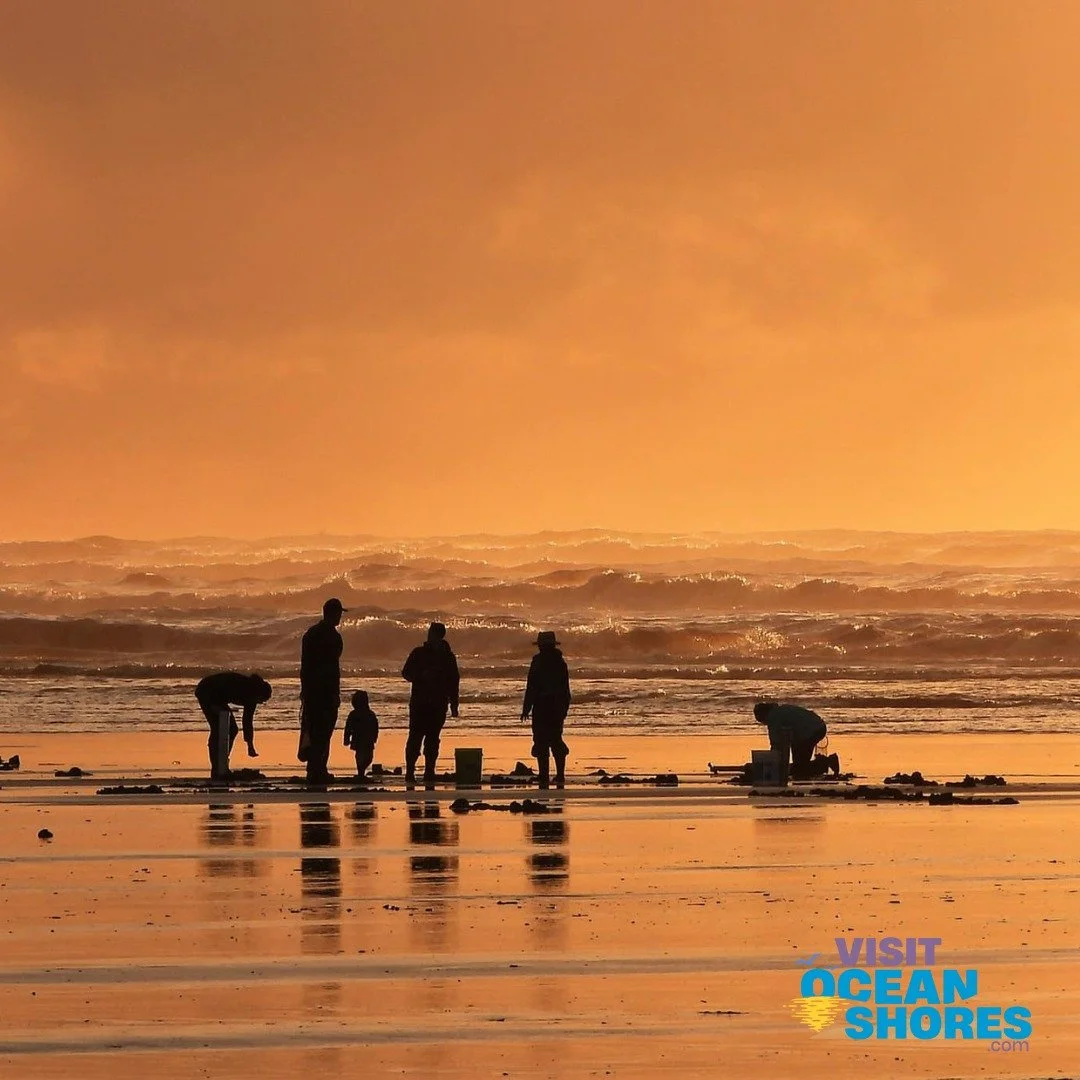 🌊🐚 Razor Clam Fans, Rejoice! 🐚🌊
The tides are turning and the shovels are ready — razor clam season is BACK in Ocean Shores, WA!
Whether you're a seasoned digger or a curious first-timer, our latest blog post has everything you need:
🧺 M