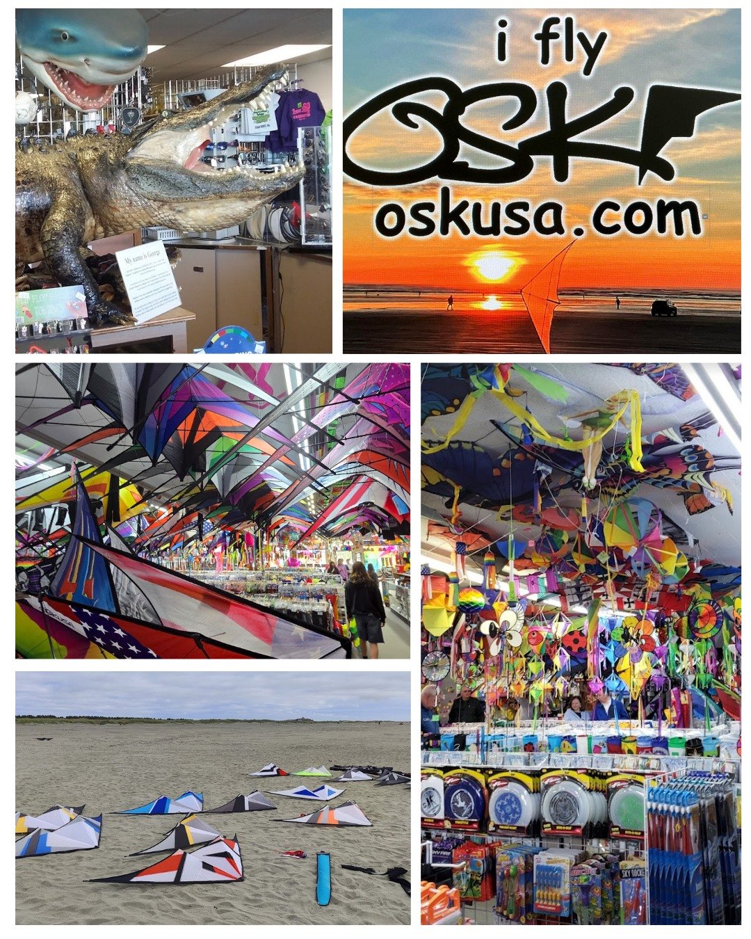 Today&rsquo;s Explore Ocean Shores Small Business Spotlight is taking flight with @Ocean Shores Kites .

A visit to Ocean Shores isn&rsquo;t complete without color in the sky. Ocean Shores Kites has been helping visitors and locals find the perfect k