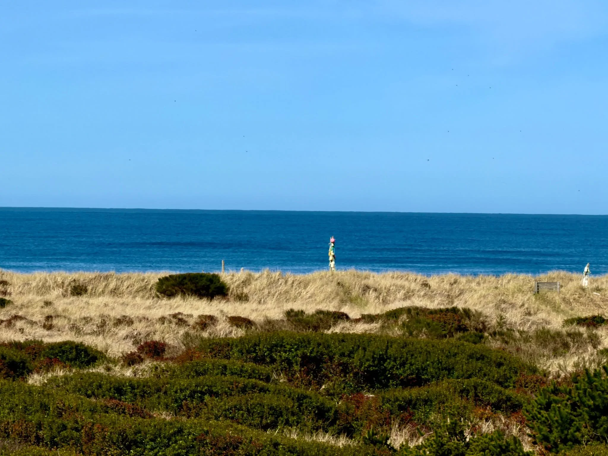 beautiful day today! 

#oceanshoreswa #exploreoceanshores #graysharbor #visitoceanshores #washingtoncoast