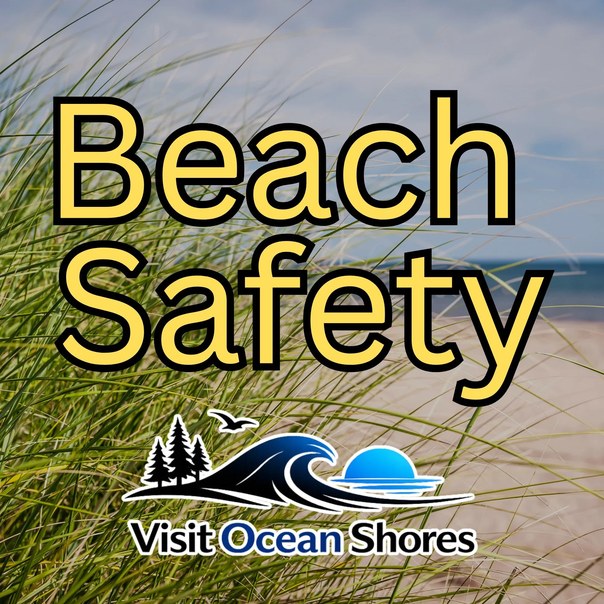 Now that the weather is warming up a bit, we want to remind you to get the info 
on rules, and regulations of our beaches! ⛱️

Safety First! 

https://www.osgov.com/visitors/beach_safety___rules.php

#exploreoceanshores #visitoceanshores #beachsafety