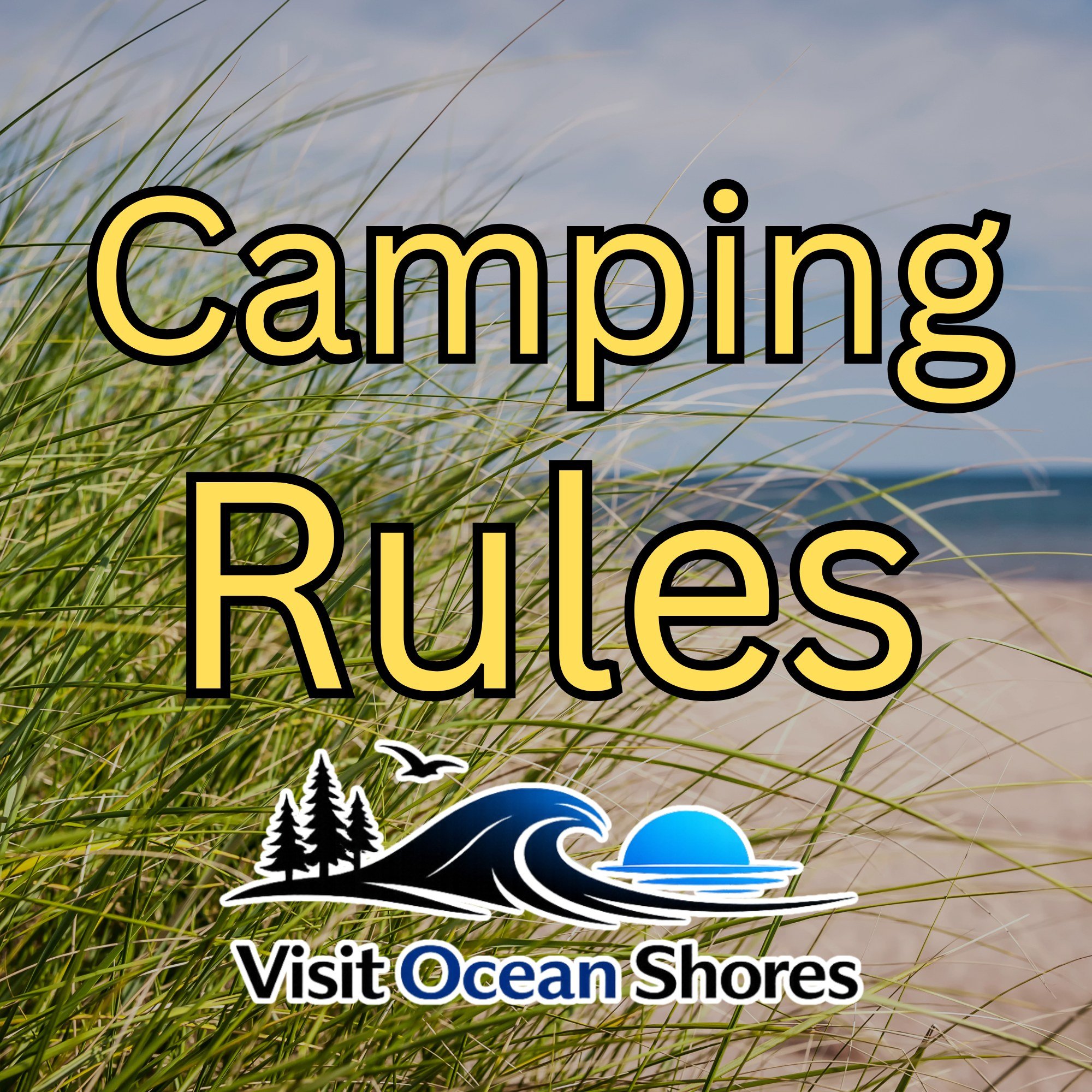 When you visit Ocean Shores, we want you to have an amazing time while keeping the beach fun and safe for everyone! ☀️ 
From local tips to rules and regulations, we&rsquo;ve got you covered, because a little knowledge goes a long way toward the perfe