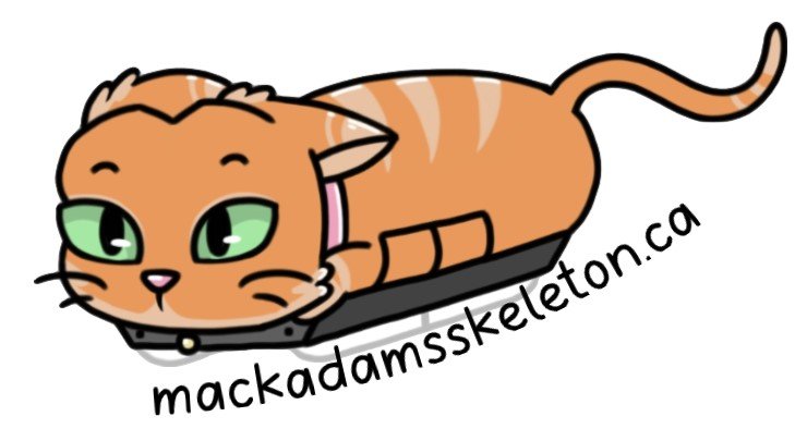 kitty.jpeg